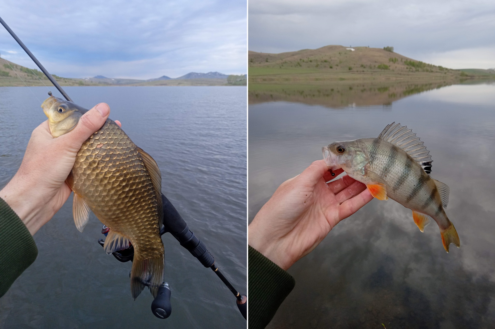 Рыбалка на Алтае: видео, секреты и лучшие места для ловли