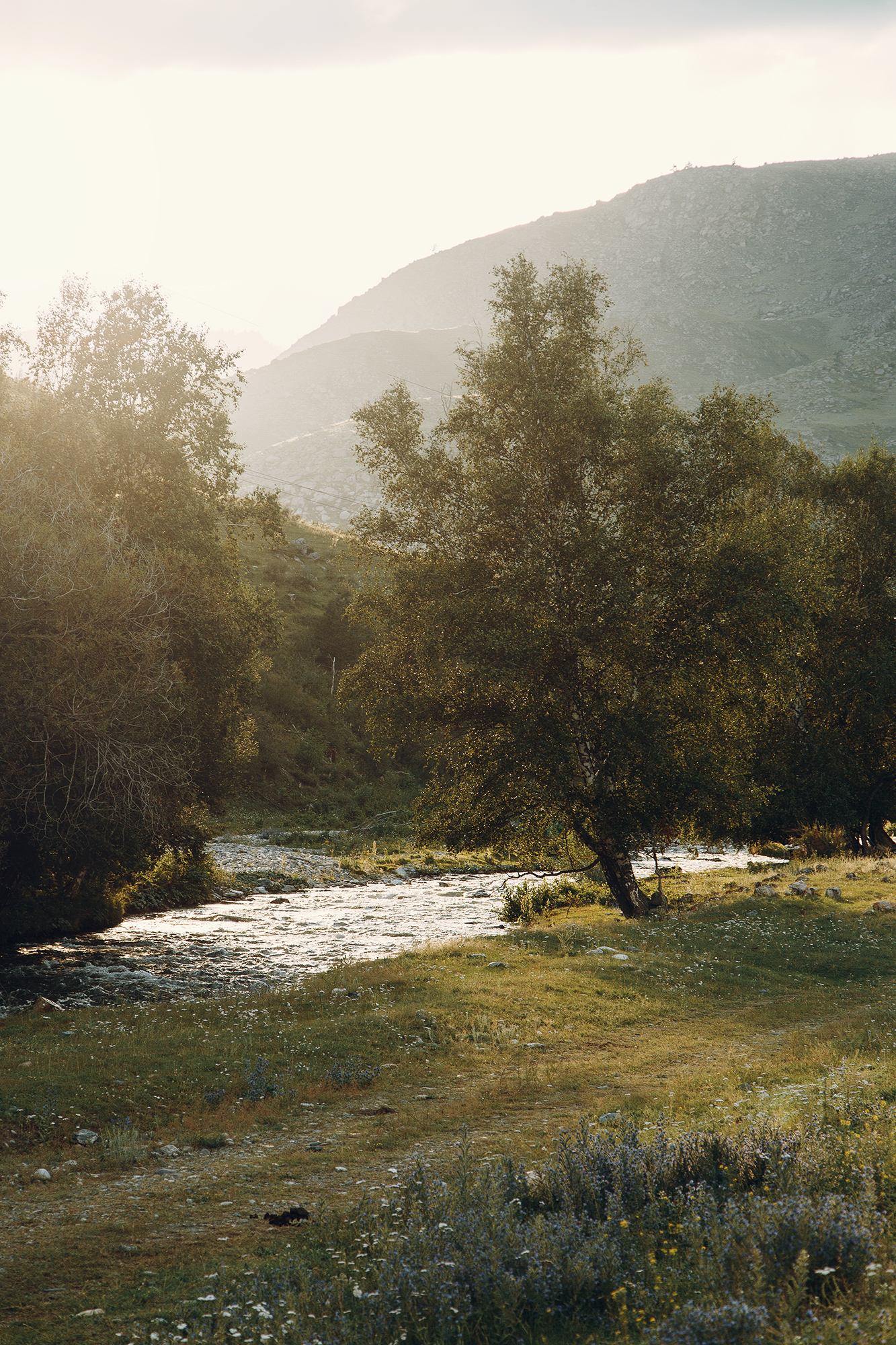 Incredible Altai - My, Altai, Nature, Chuisky tract, The mountains, Village, Longpost, The photo, Altai Republic