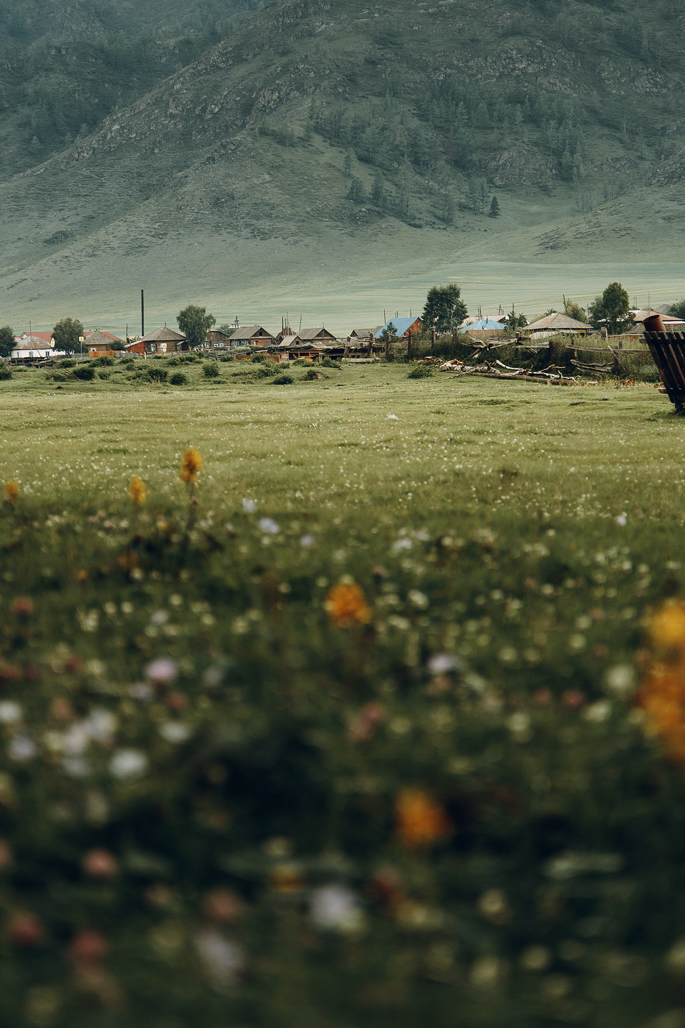 Incredible Altai - My, Altai, Nature, Chuisky tract, The mountains, Village, Longpost, The photo, Altai Republic