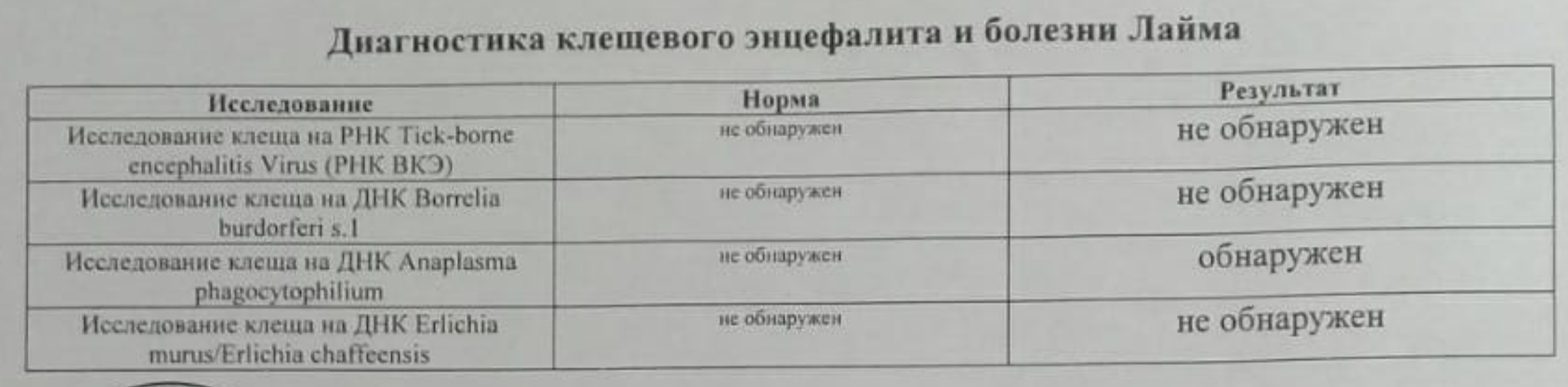 Осторожно клещи! - Моё, Клещ, Инфекция, Весна, Насекомые, Сибирь, Видео, Мат, Длиннопост