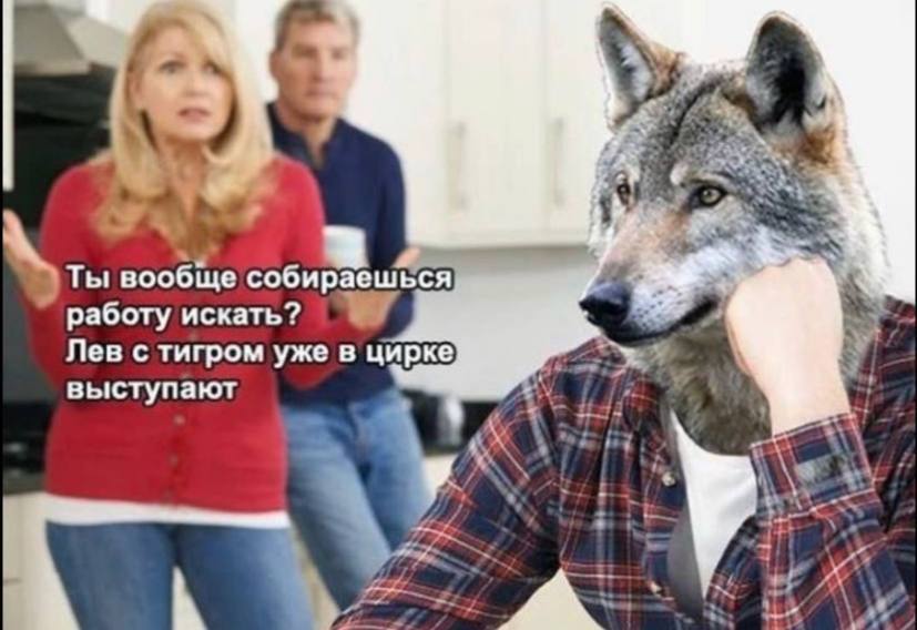 А медведь уже машину купил - Абсурд, Dank Memes, Мудрость, Волк, Картинка с текстом