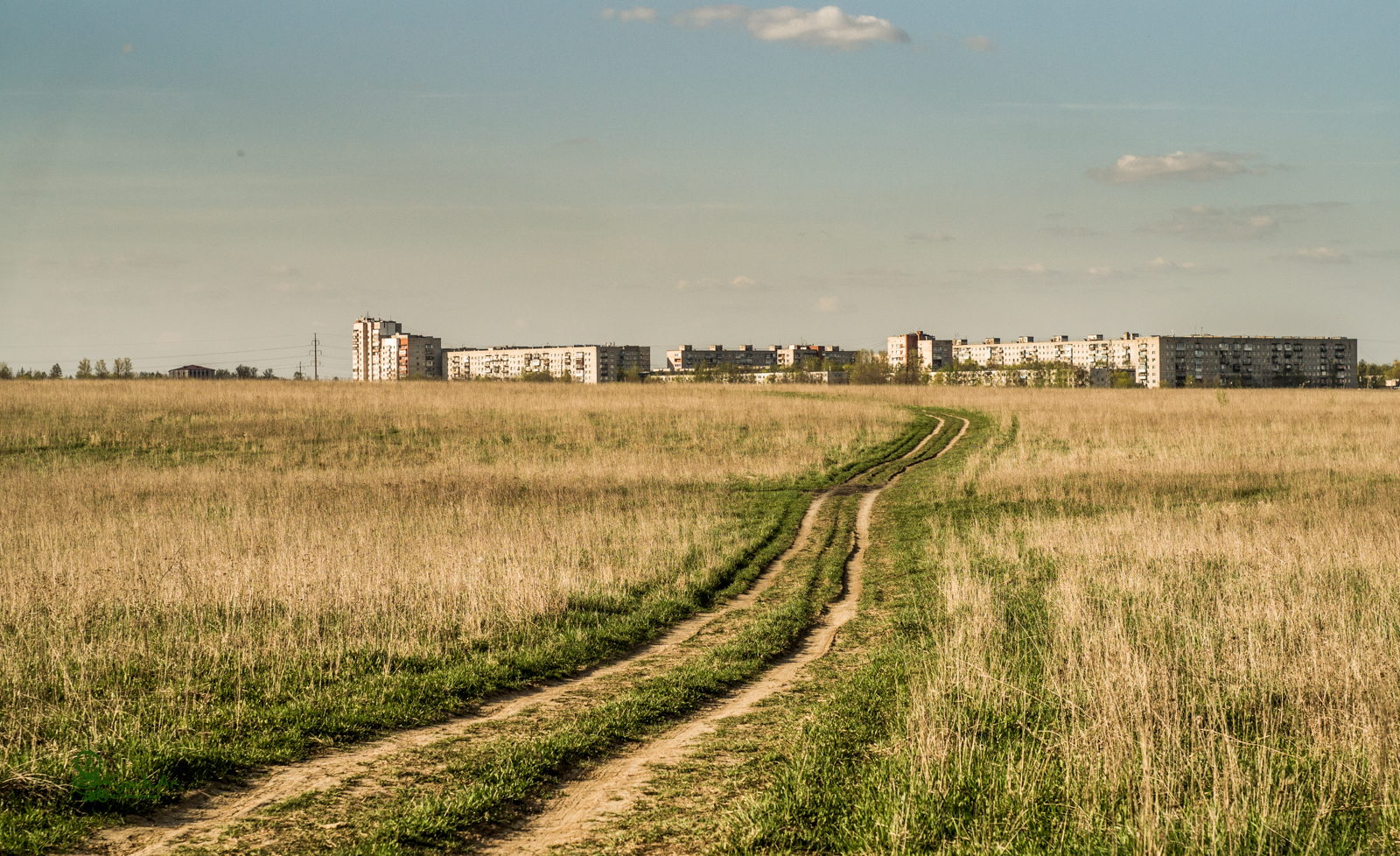 Walk - My, Saint Petersburg, Red Village, Nature, The photo, Longpost