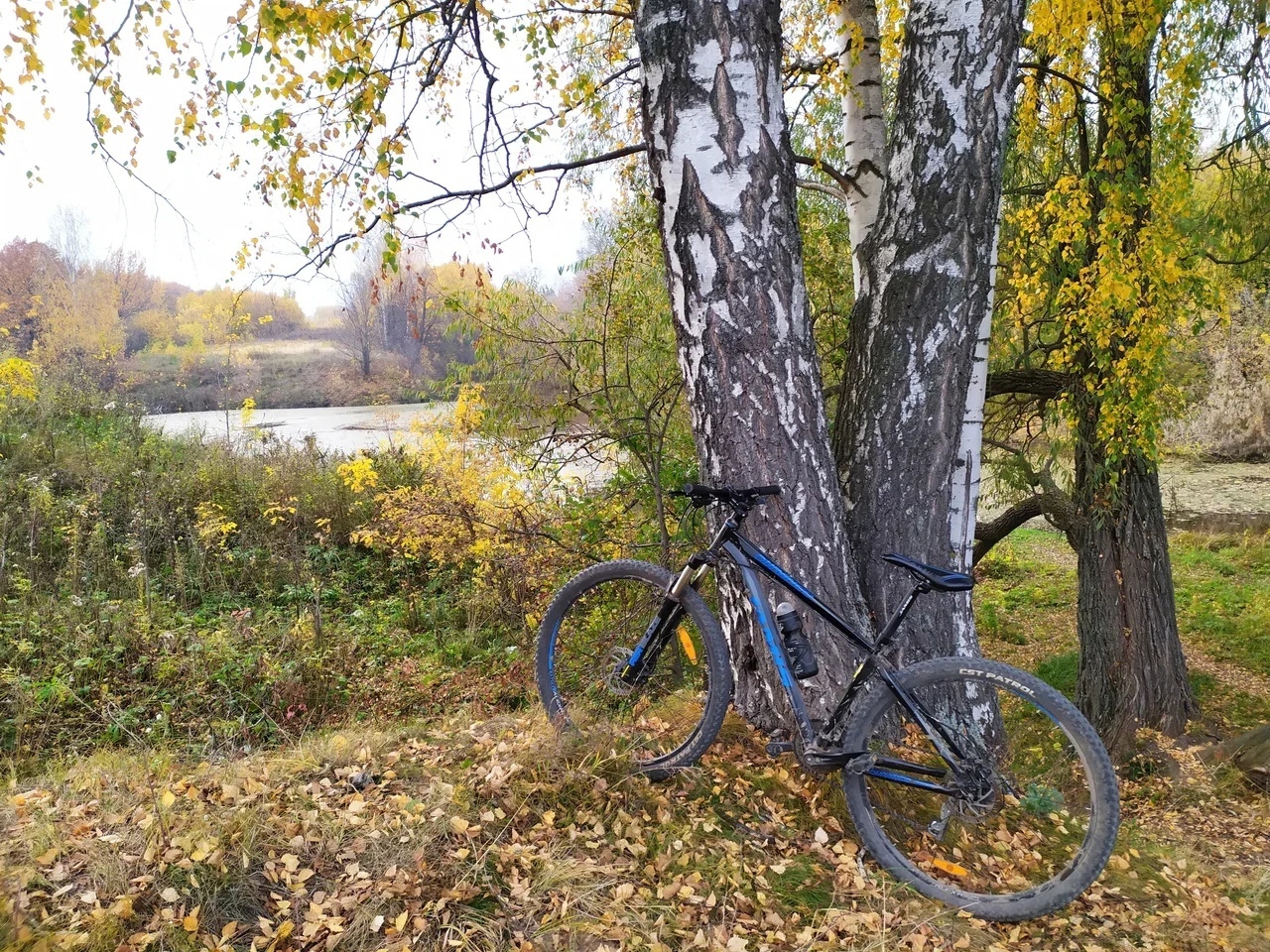 Мои лучшие фото с велосипедом | Пикабу
