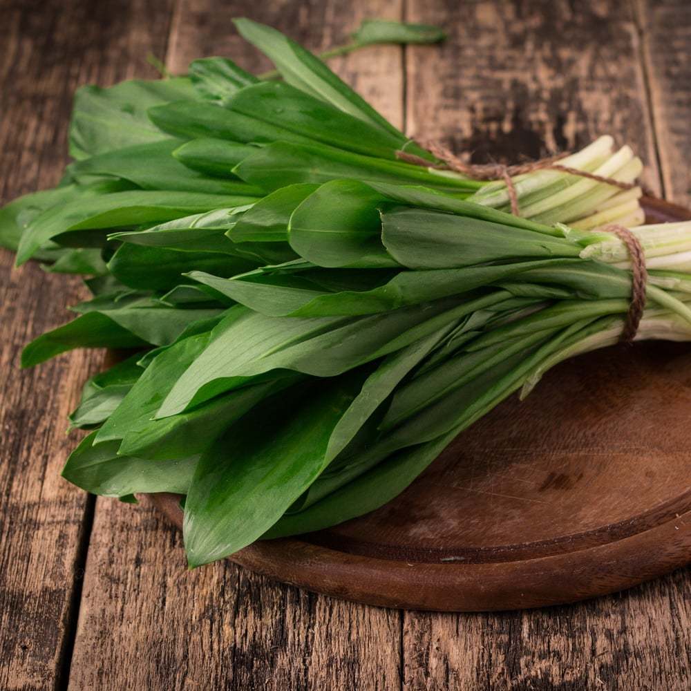 Recipe from my Sakhalin childhood. For those who don't like to cook - My, Sakhalin, Дальний Восток, Recipe, Ramson, Yummy, Cheap, Spring, Healthy lifestyle, Longpost