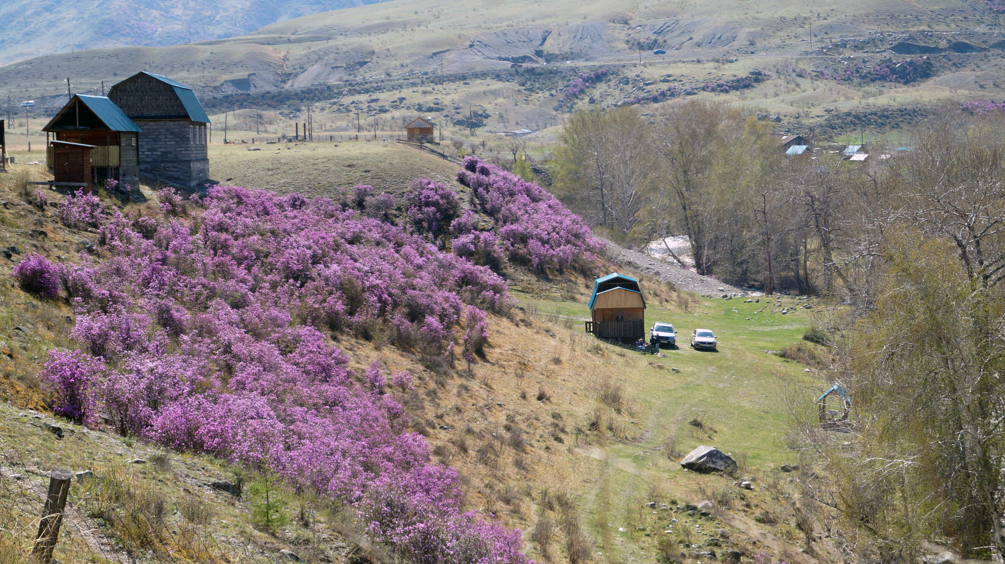 Spring of Gorny Altai - My, Mountain Altai, Maralnik, Spring, Beginning photographer, Sony alpha 58, Travels, , Geyser Lake, Longpost, Altai Republic