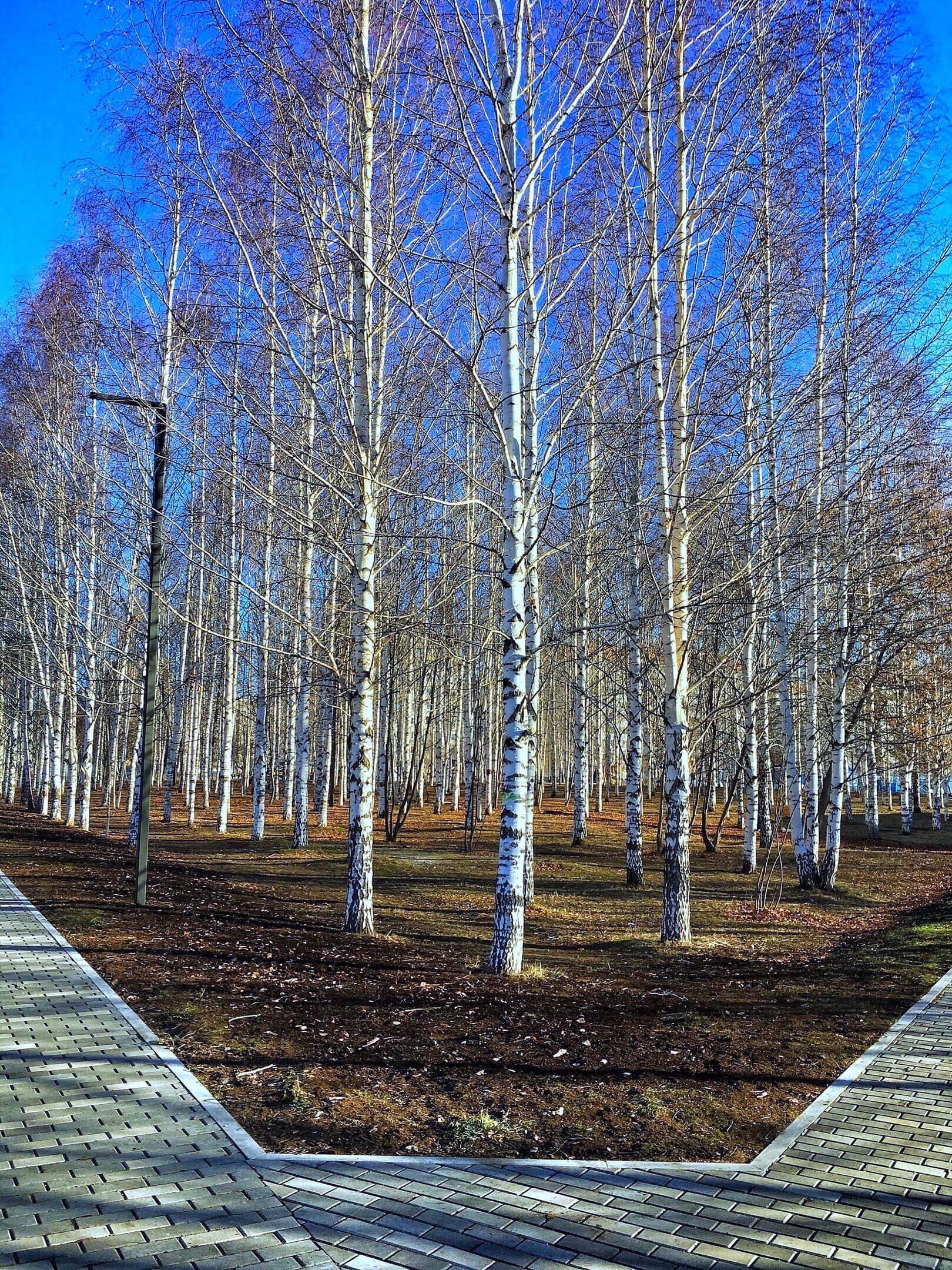 Времена года... | Пикабу