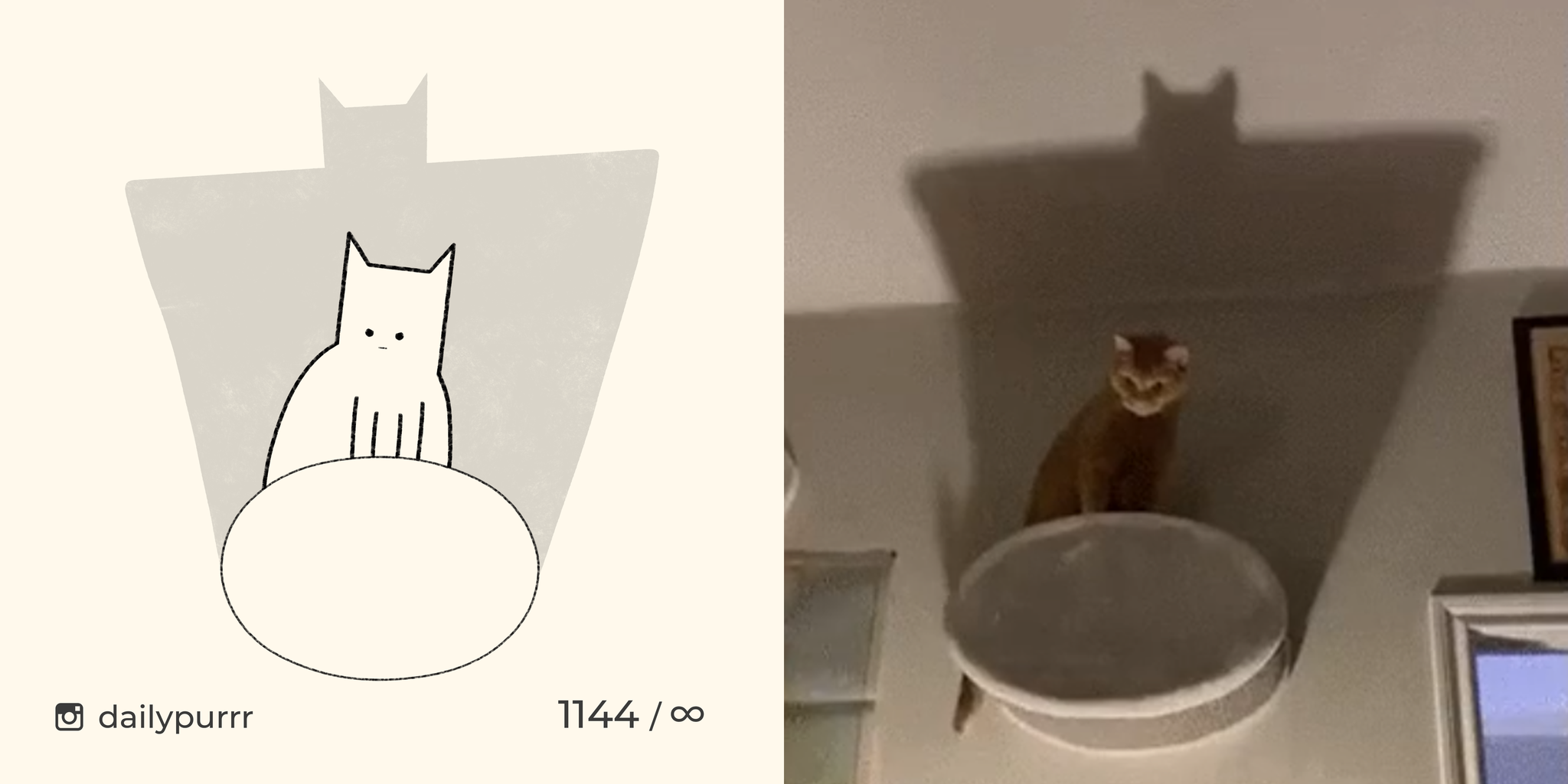 I am Catman! - My, cat, Drawing, Animals, Dailypurrr