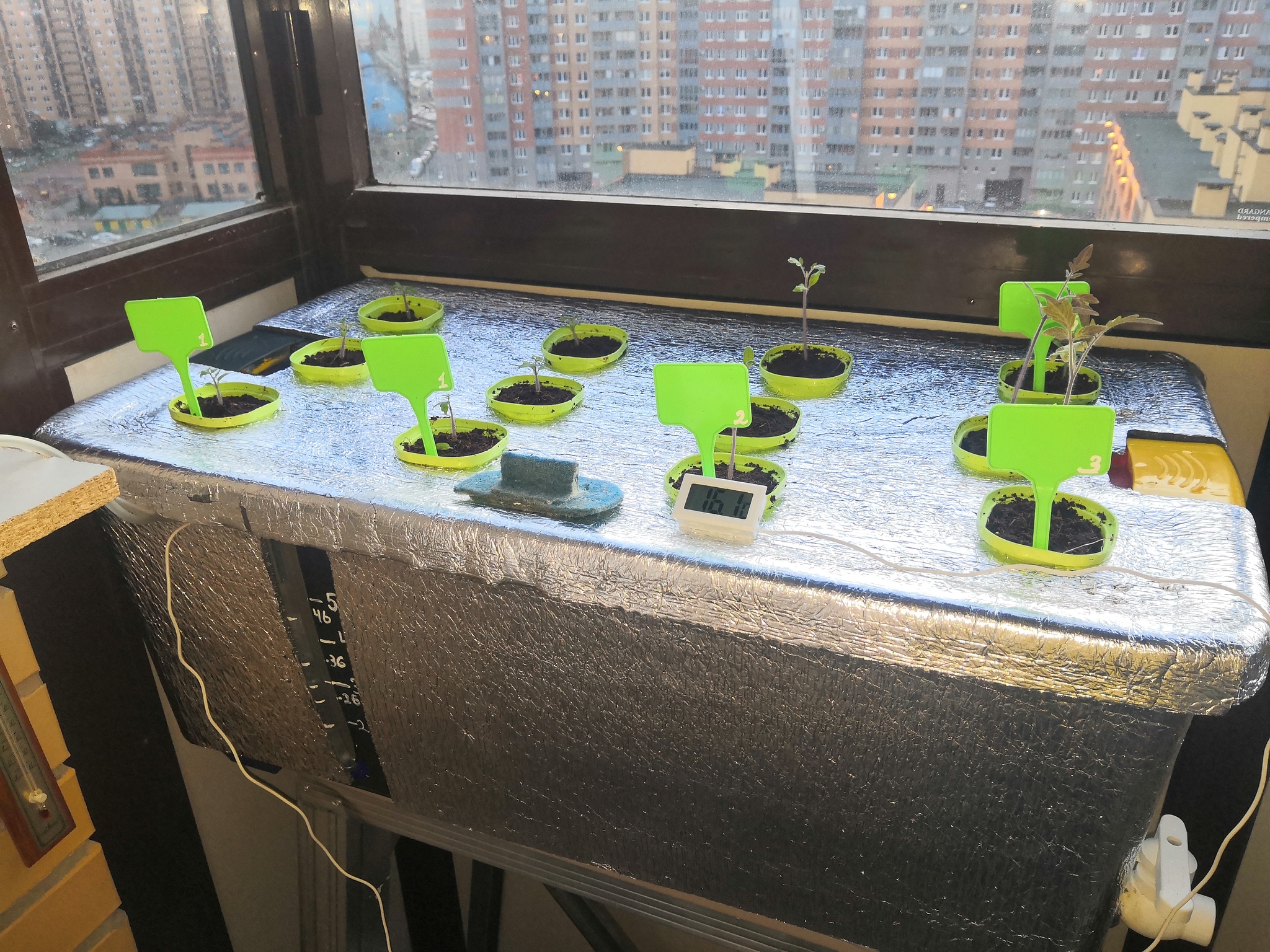 My hydroponics. - My, Hydroponics, Progressive crop production, With your own hands, Vegetables, Vegetable garden on the windowsill, Tomatoes, Plant growing, Longpost