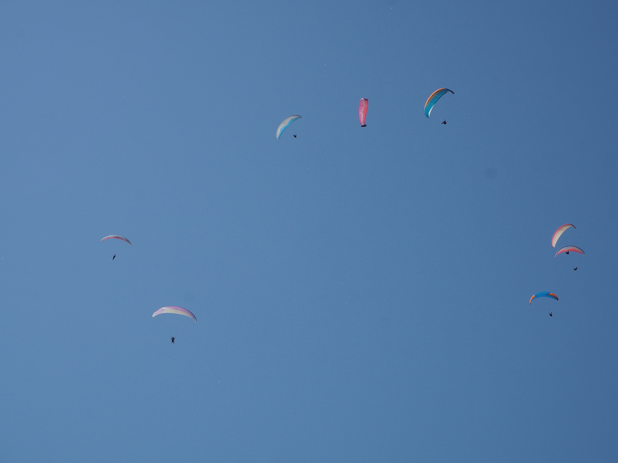 Sheehan paragliders - My, Paragliding, Shihany, Kushtau, Longpost