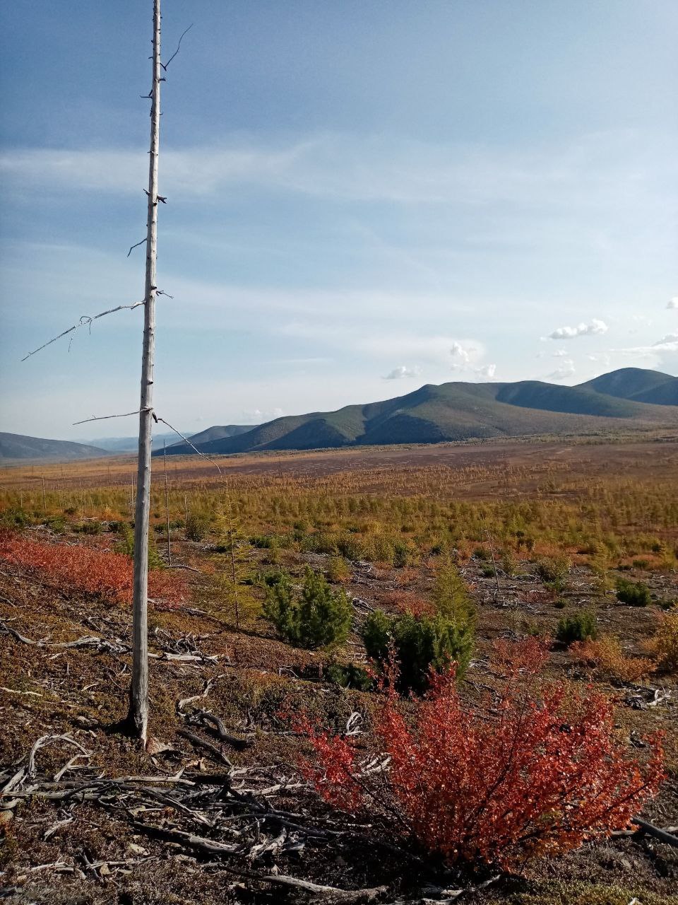 Yagodnoe and surroundings - Magadan Region, Дальний Восток, wildlife, Nature, Hills, Longpost