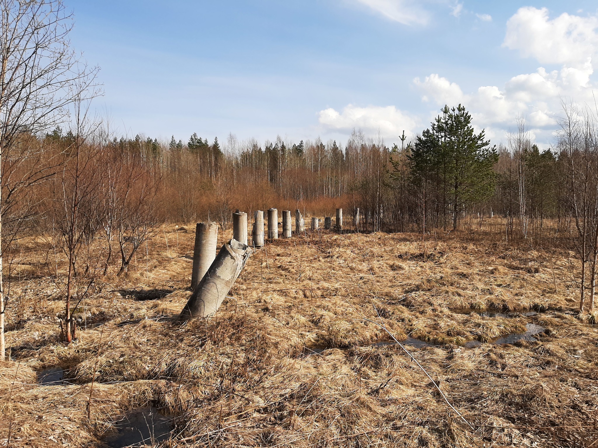 Ride to the unknown - My, A bike, Pokatushki, Arkhangelsk, Spring, Longpost