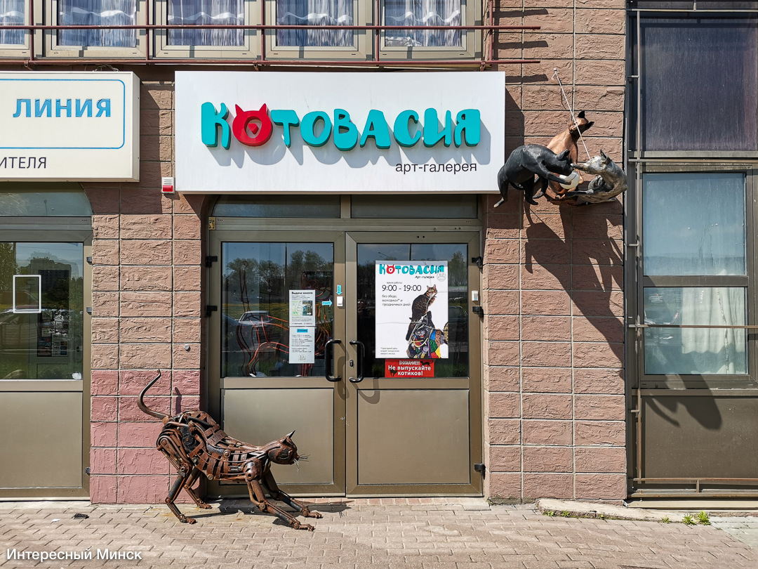 Accidentally discovered an art gallery in Malinovka, in which there are more than 7,000 exhibits of cats - My, Minsk, Museum, cat house, cat, Kittens, Animal shelter, Charity, Pets, , Tricolor cat, Souvenirs, Gallery, Antiques, Hobby, Longpost