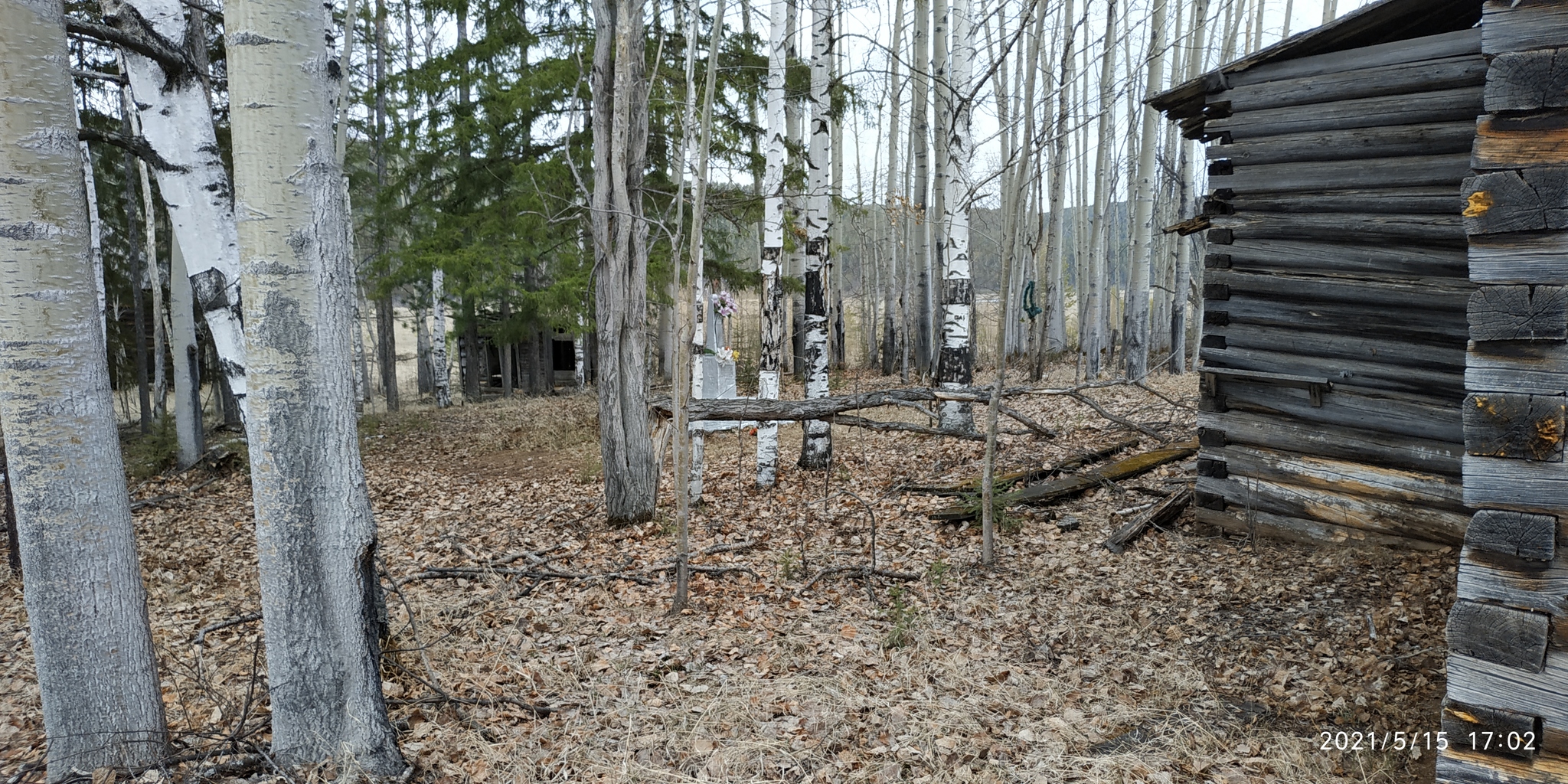 Abandoned village, Irkutsk region, Potapovo village - My, Village, Old man, House, School, Longpost