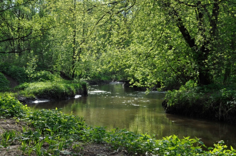 Rivers flowing in Moscow - Moscow, River, Nature, Longpost