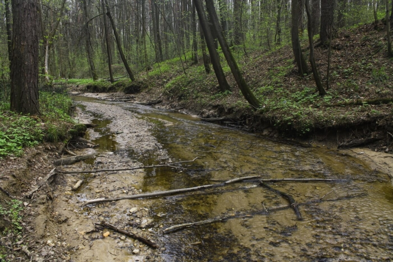 Rivers flowing in Moscow - Moscow, River, Nature, Longpost