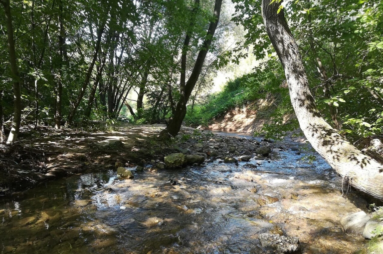 Rivers flowing in Moscow - Moscow, River, Nature, Longpost