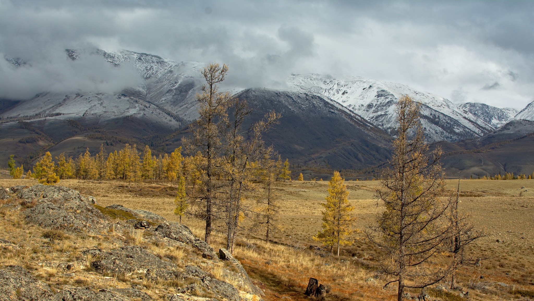 Neighborhood Kuray - My, Kuray, Kurai steppe, Mountain Altai, Severo-Chui Range, The photo, Altai Republic