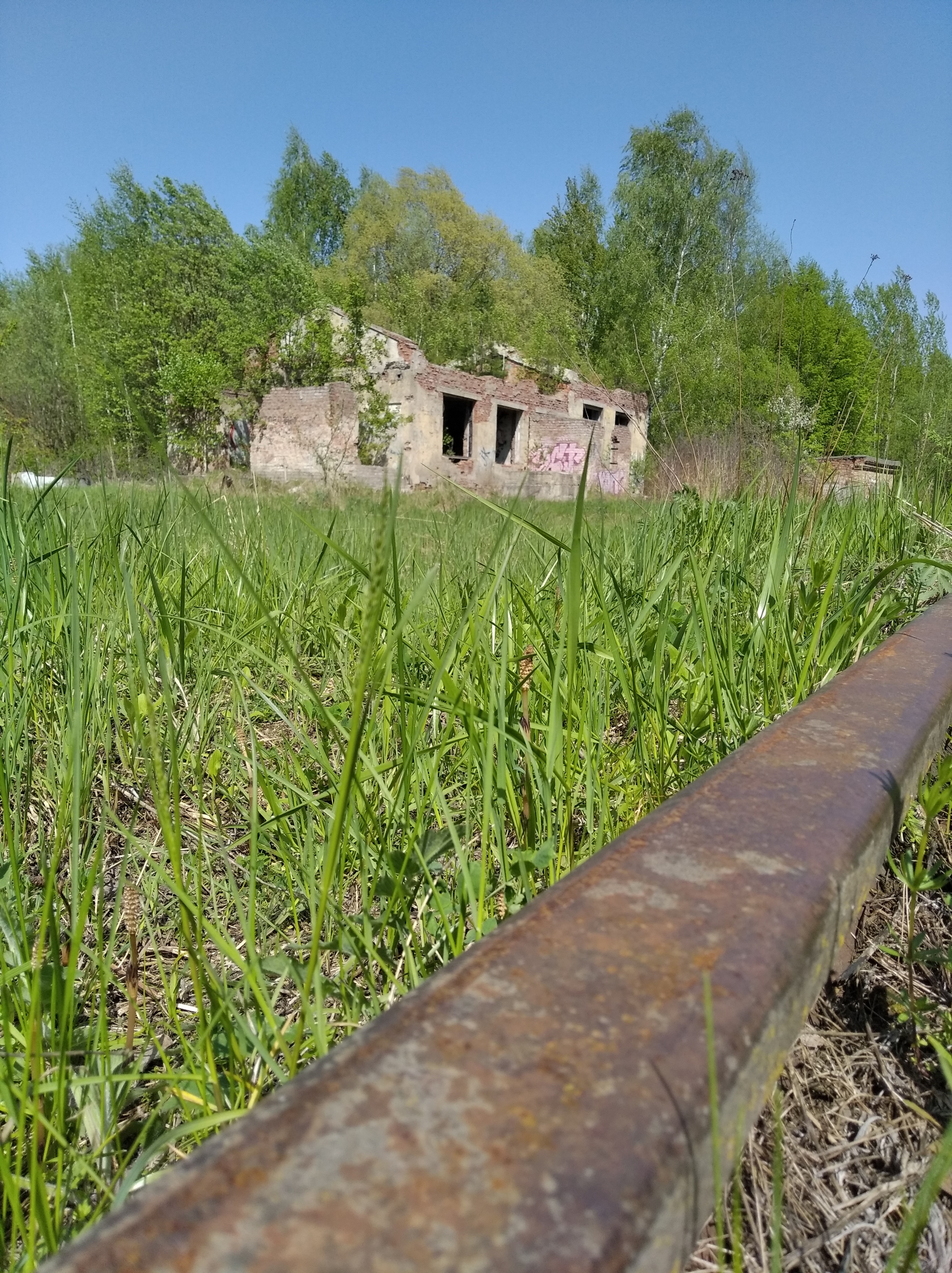 Rail history - My, Rails, Walk, The photo, Longpost, Abandoned