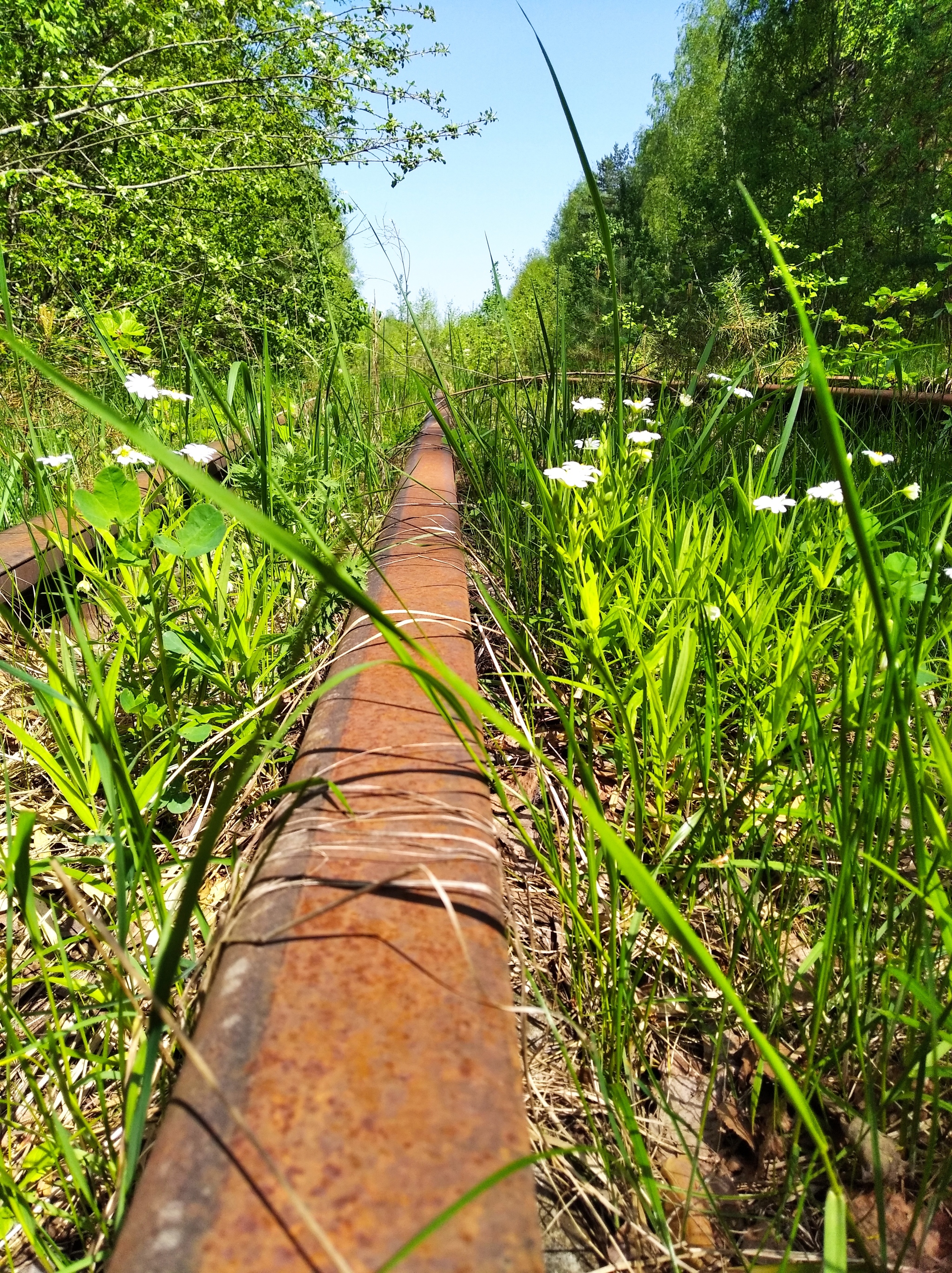 Rail history - My, Rails, Walk, The photo, Longpost, Abandoned