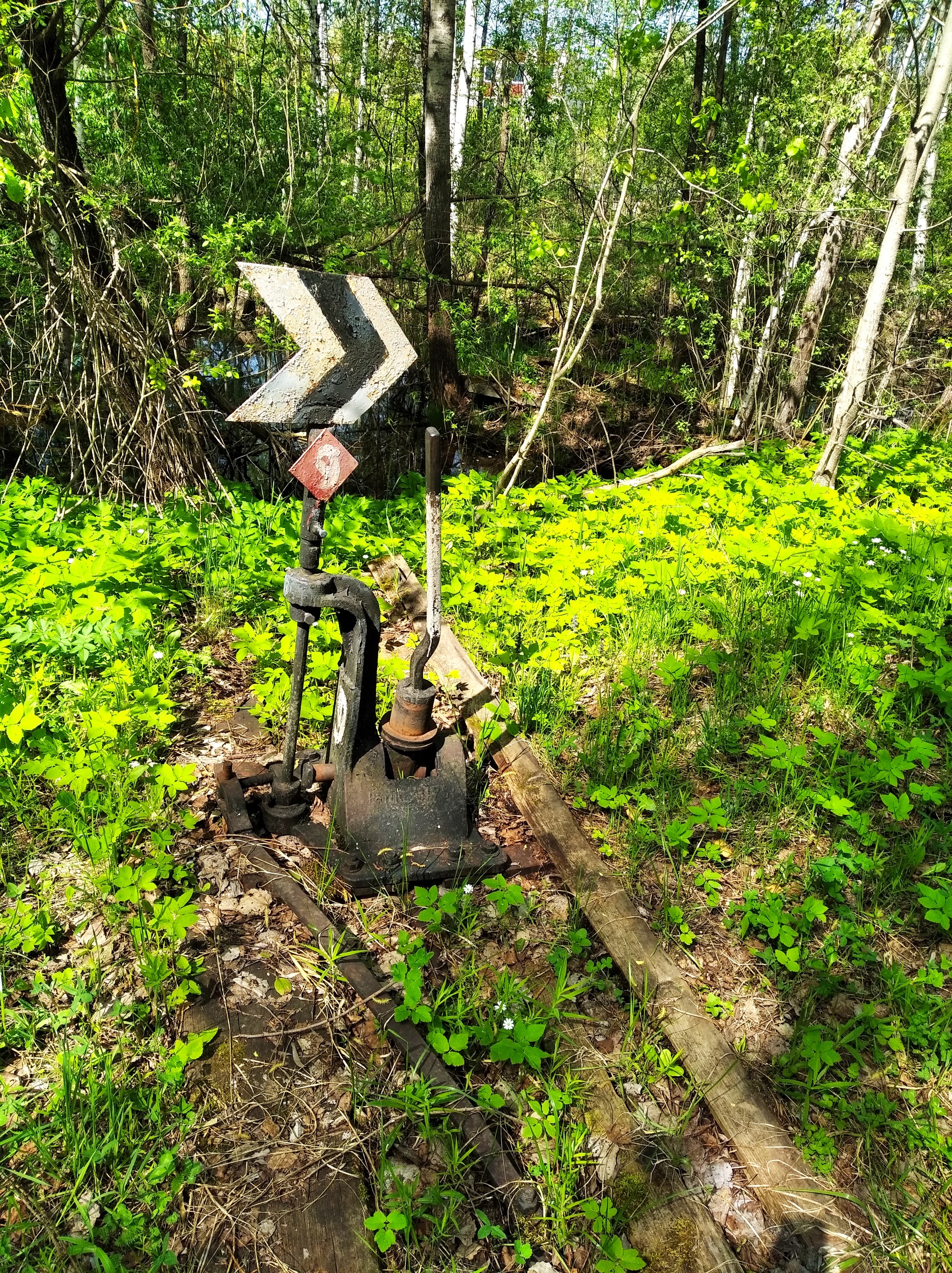 Rail history - My, Rails, Walk, The photo, Longpost, Abandoned