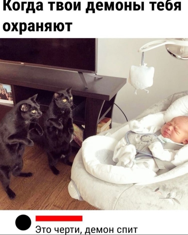 The demon sleeps - Children, Picture with text, cat, Black cat