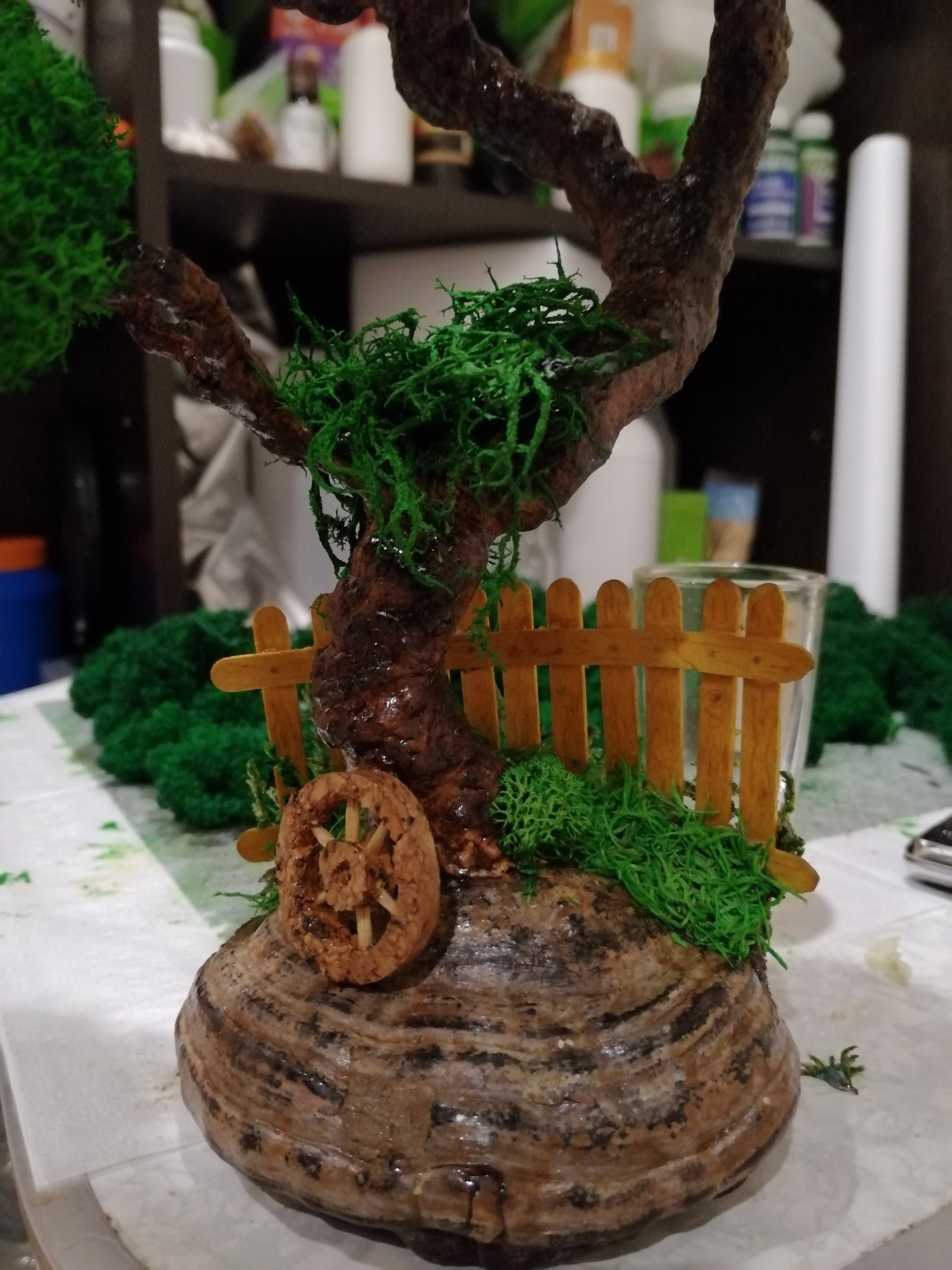 tree fungus bonsai stand - My, Bonsai, , Woody mushroom, Tree, Village, With your own hands, Handmade, Longpost, Needlework without process, Moss