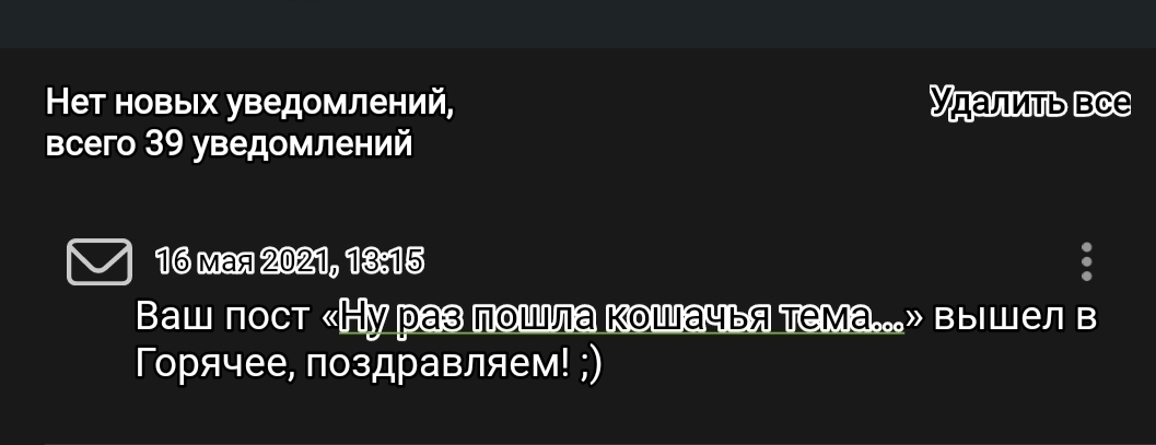 Коты и горячее. У меня есть вопросы (Есть ответ) - Моё, Негодование, Посты на Пикабу, Рейтинг, Модератор, Горячее, Вопрос, Длиннопост, Комментарии на Пикабу, Скриншот