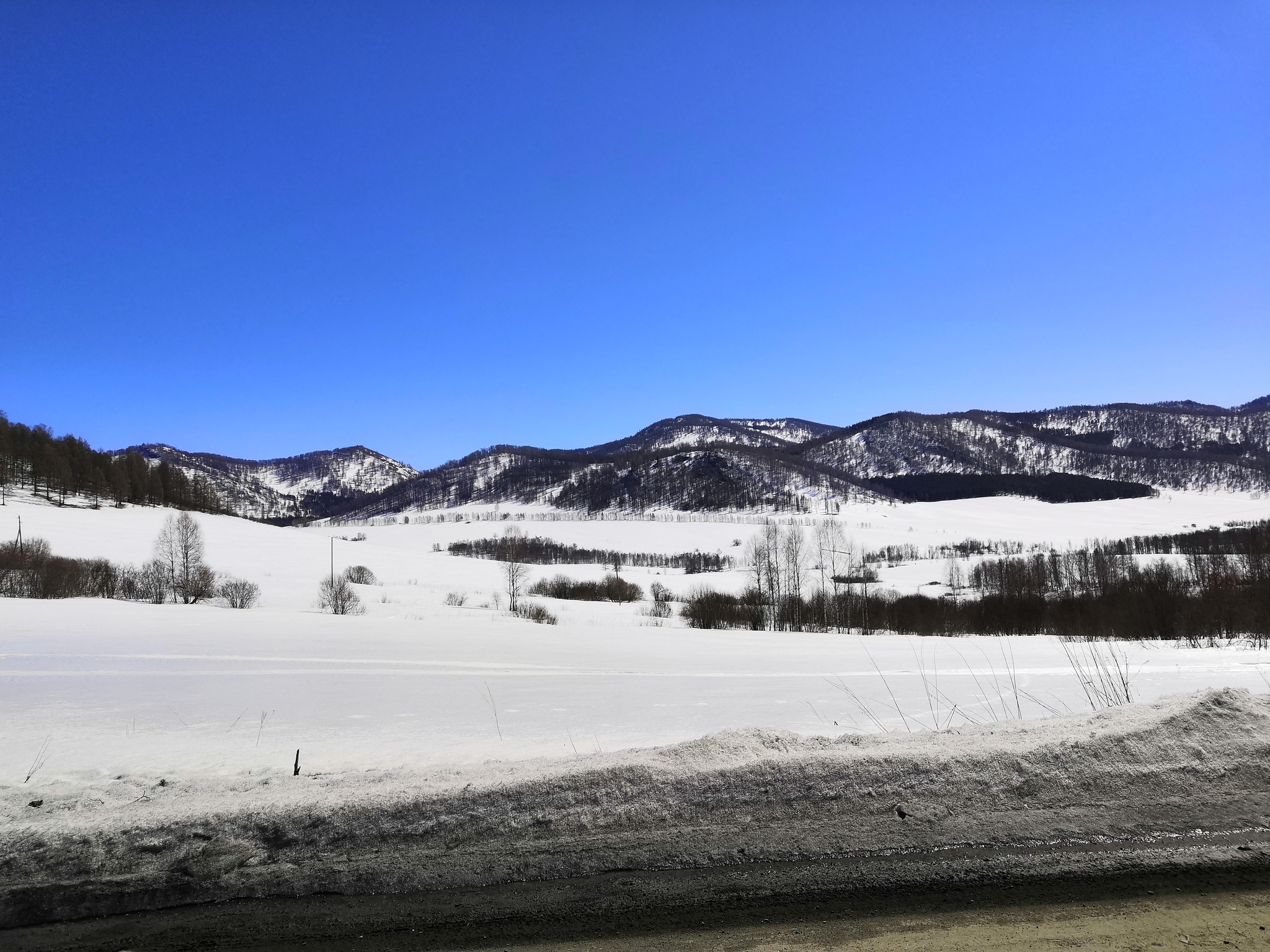 A trip to Altai in early April. - My, Mountain Altai, Nature, River, The mountains, Forest, The photo, Longpost, Altai Republic