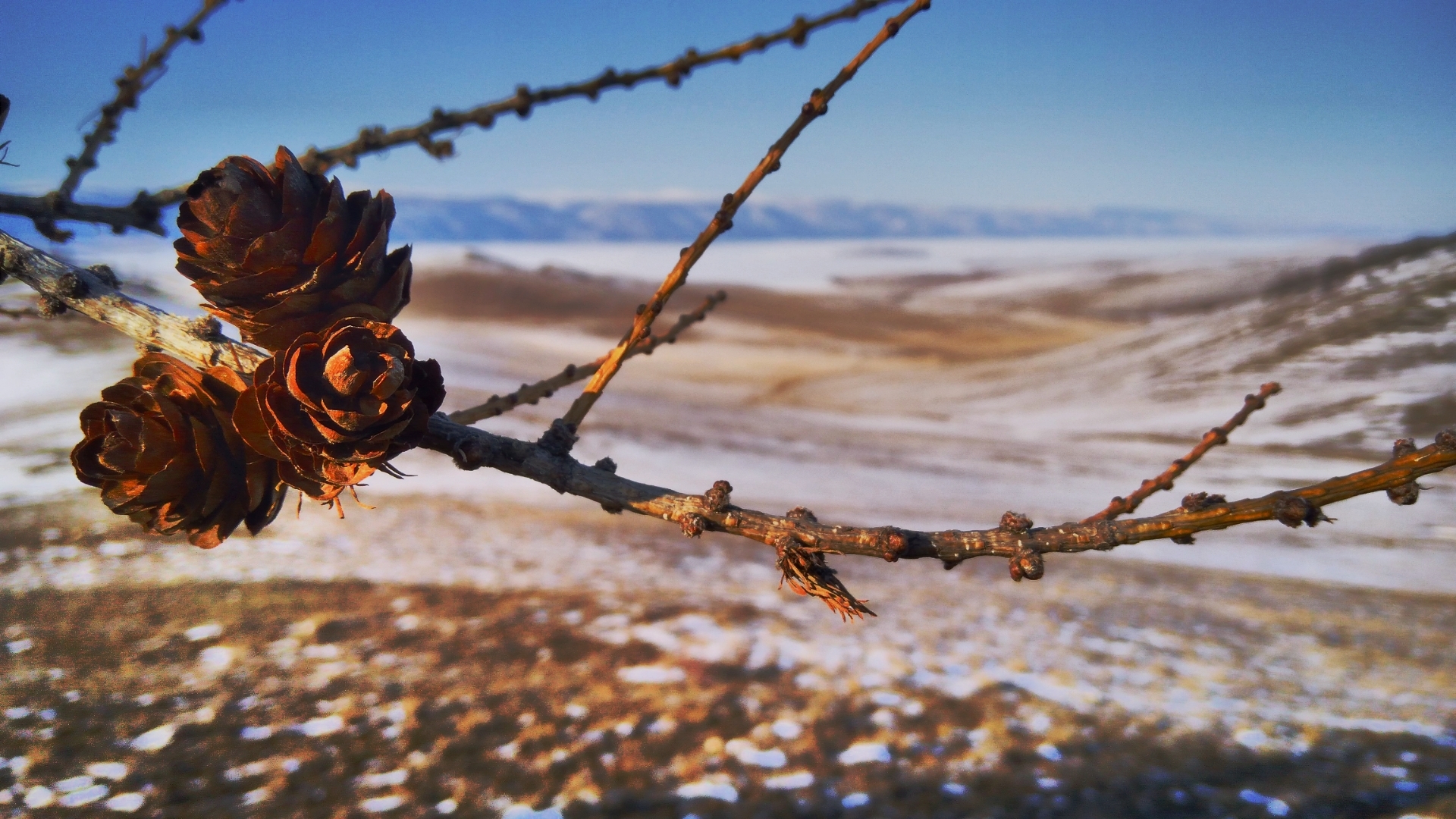 winter Baikal - The photo, Travels, Nature, Baikal, Landscape, The rocks, Longpost