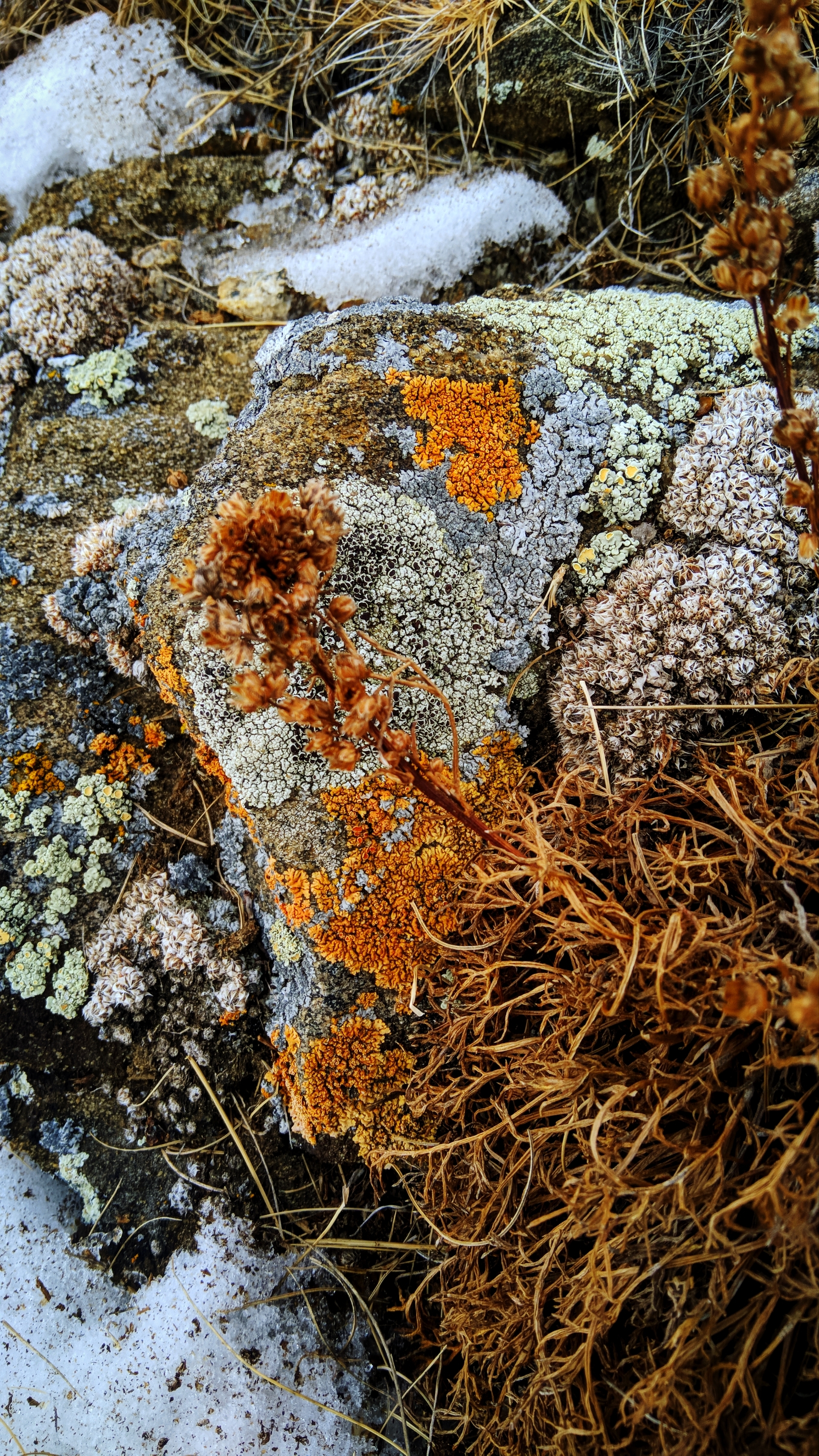 winter Baikal - The photo, Travels, Nature, Baikal, Landscape, The rocks, Longpost