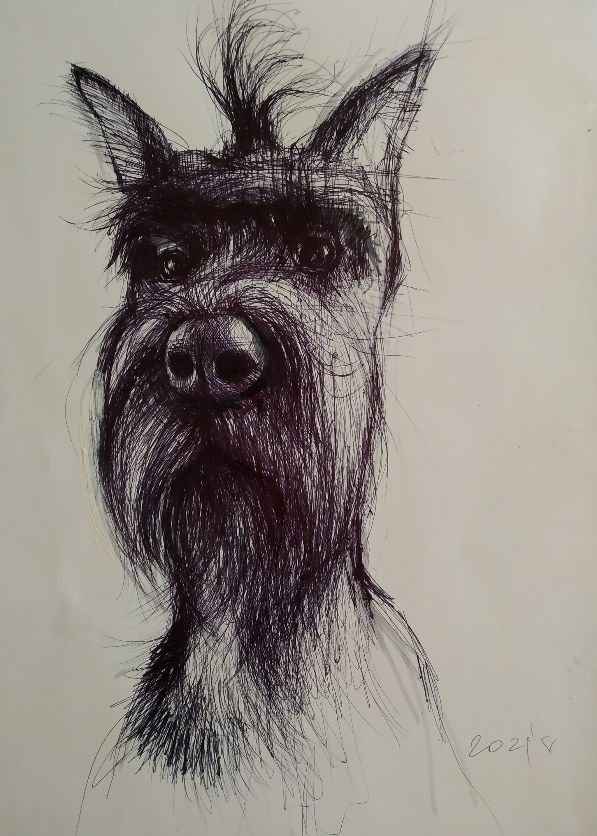 Sketch - My, Drawing, Sketch, Sketch, Dog