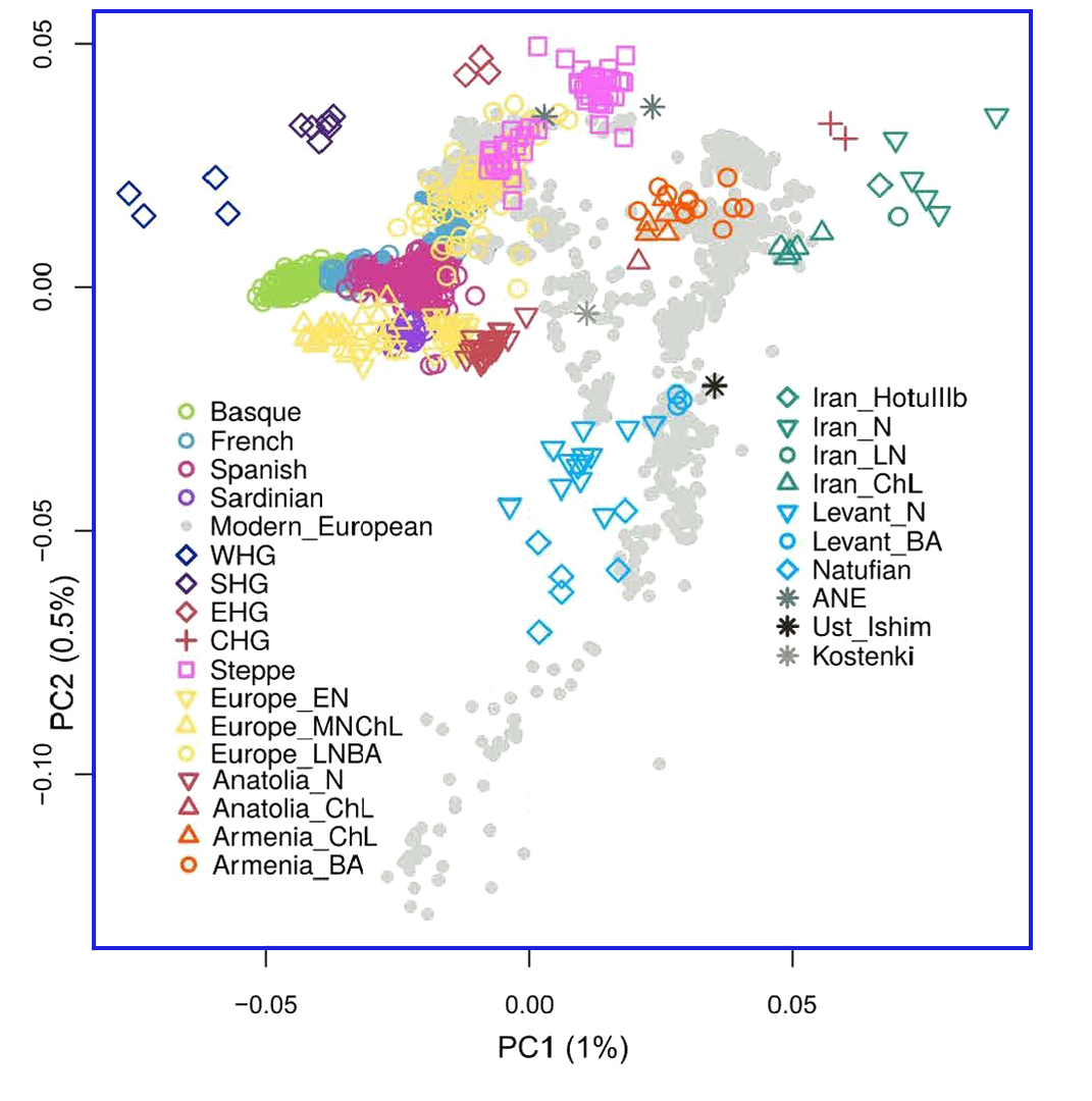 History of the Basques. Origin, originality and heterogeneity - My, Story, Basque Country, Basques, Population genetics, Genetics, Longpost, The science, Video, GIF