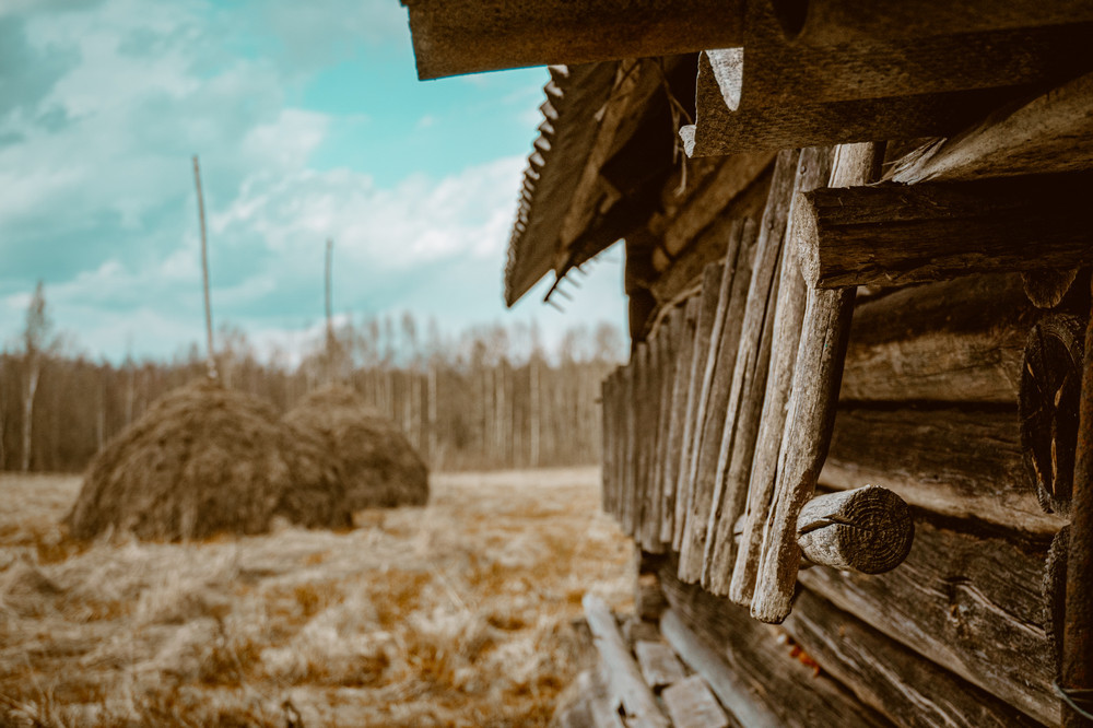 In abandoned villages - My, The photo, Village, Abandoned, Forgotten, Ruin, A life, Longpost