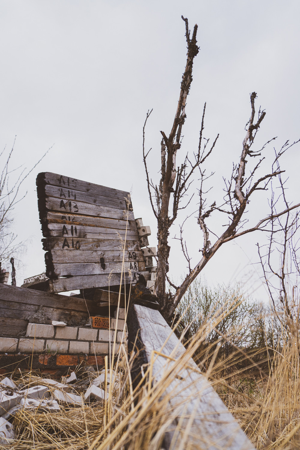 In abandoned villages - My, The photo, Village, Abandoned, Forgotten, Ruin, A life, Longpost