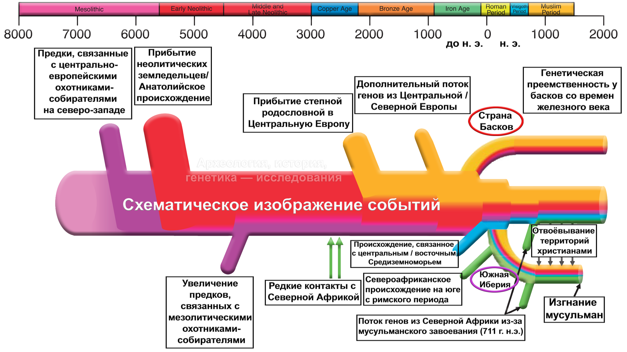 History of the Basques. Origin, originality and heterogeneity - My, Story, Basque Country, Basques, Population genetics, Genetics, Longpost, The science, Video, GIF