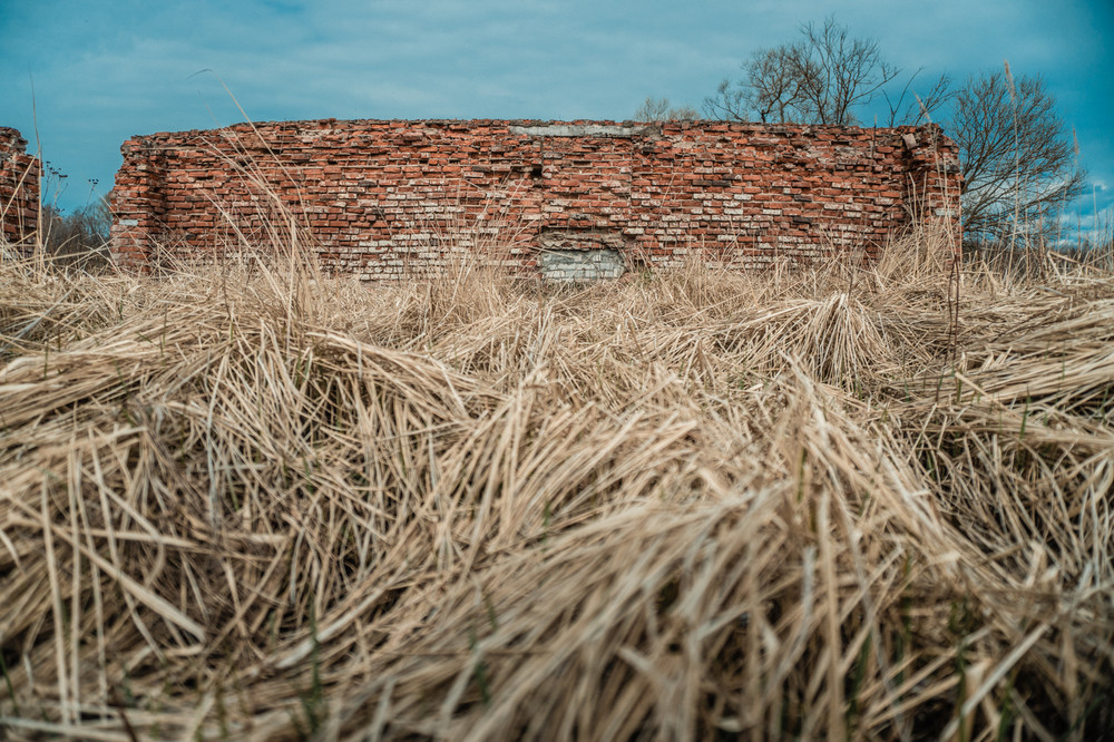 In abandoned villages - My, The photo, Village, Abandoned, Forgotten, Ruin, A life, Longpost