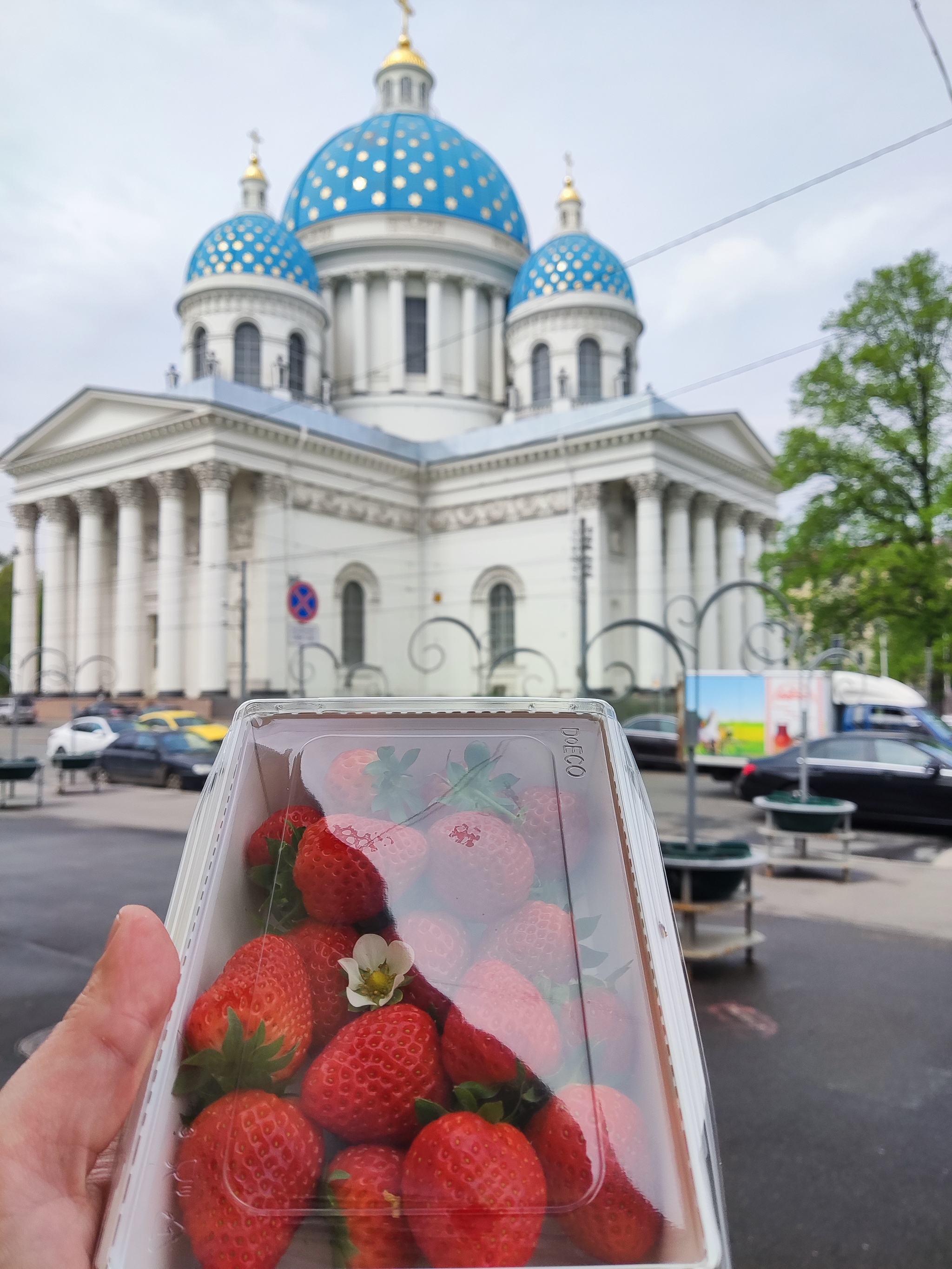 How a daughter's request turned into a business. Part 3 - My, , Strawberry plant, Greenhouse, Garden, Longpost, Urban farming, Strawberry (plant)