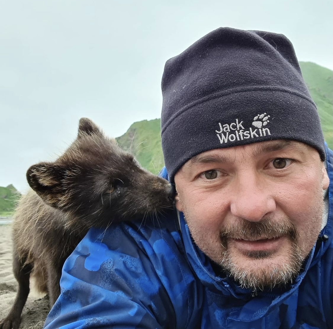 And the fox came! - Arctic fox, Story, Sakhalin Region, Island, Uninhabited island, Kurile Islands, Whale, Skeleton, Longpost