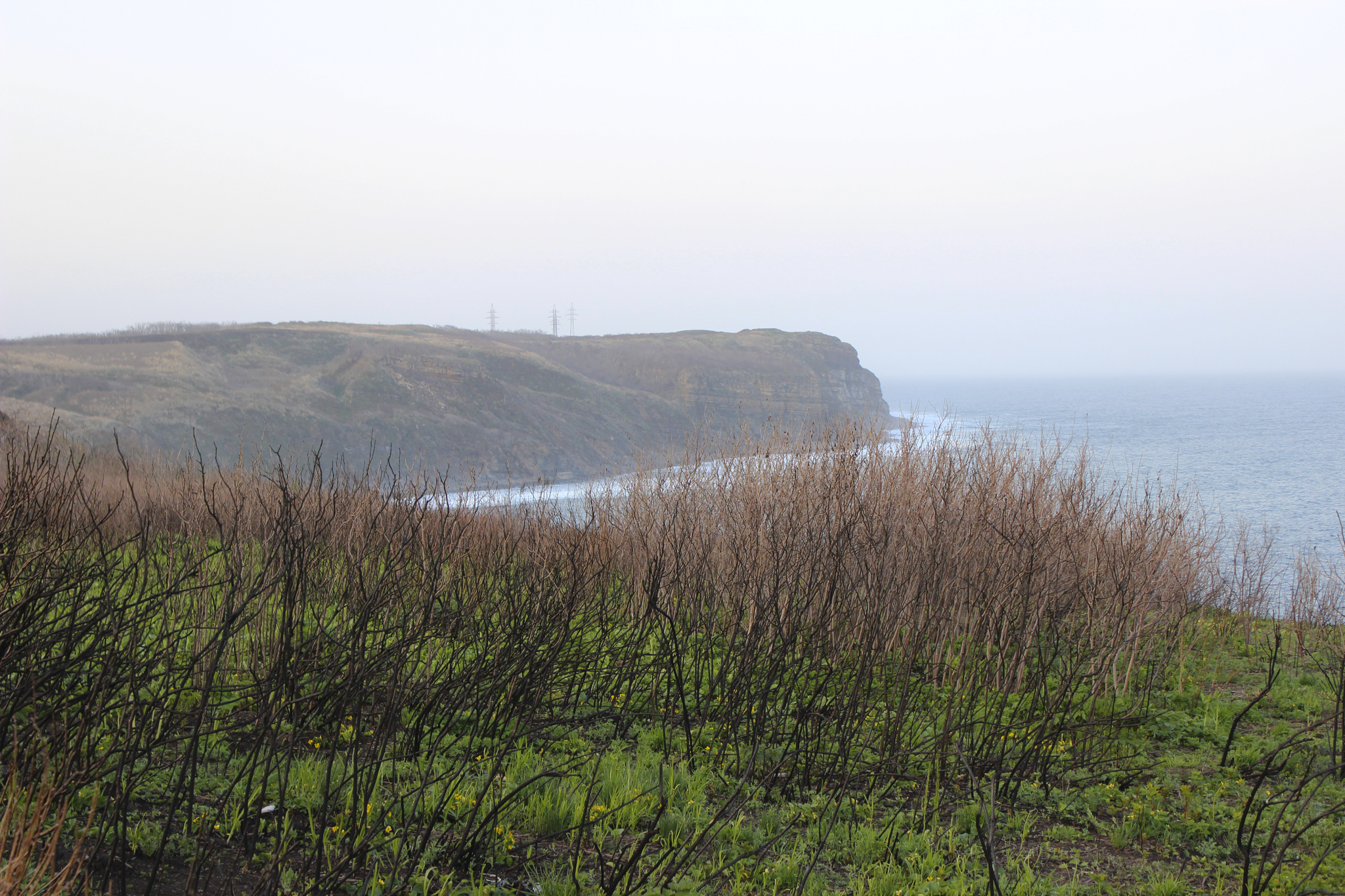 Bogdanovich Bay, Russian Island, Vladivostok - My, The photo, Canon 600D, Vladivostok, Russian island, Nature, The nature of Russia