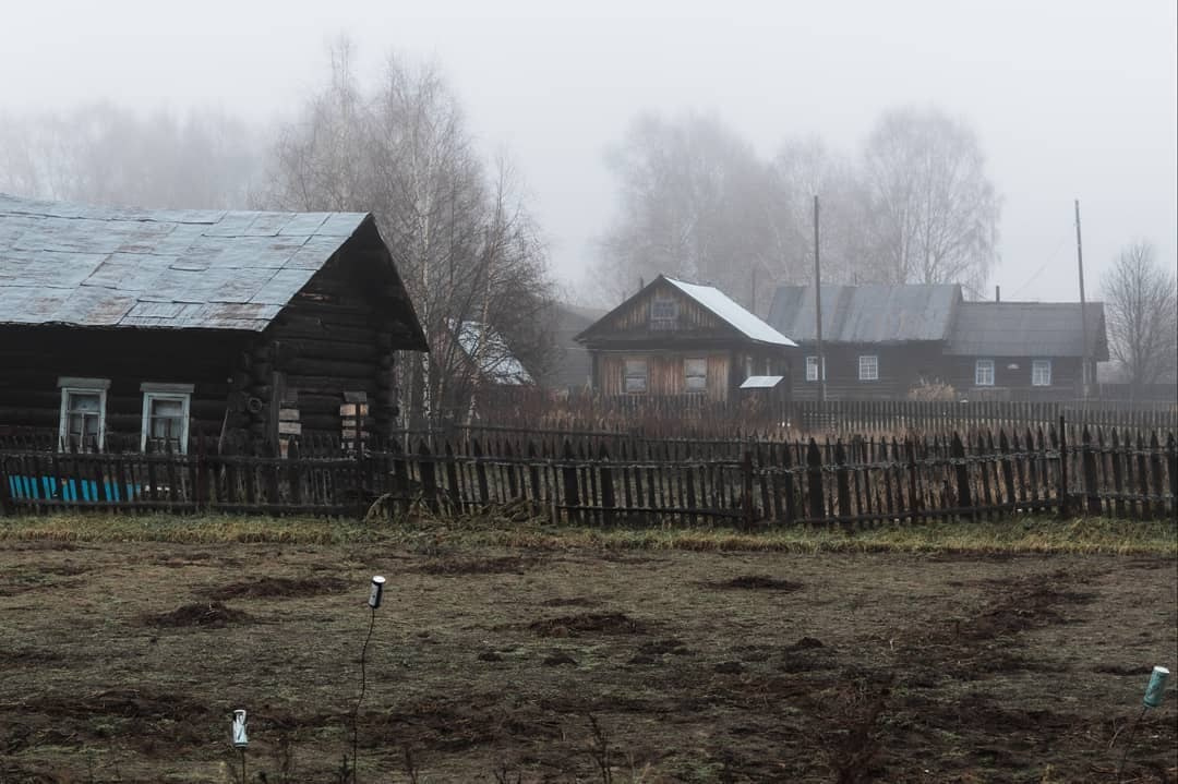 You just come to visit, at least sometimes - Village, Parents, Home, Longpost, The photo, cat