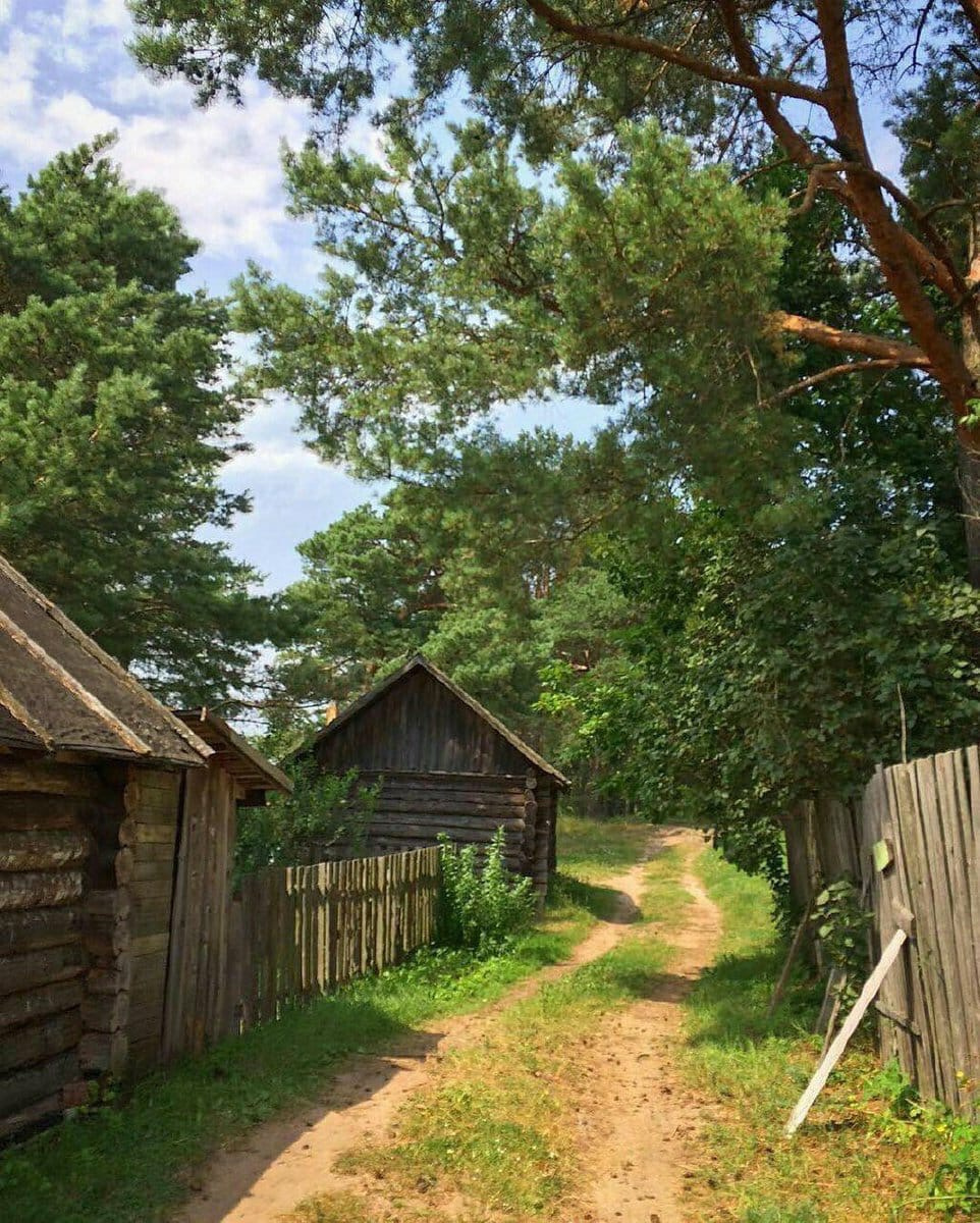 Ты только приезжай в гости, хоть иногда - Деревня, Родители, Родной дом, Длиннопост, Фотография, Кот