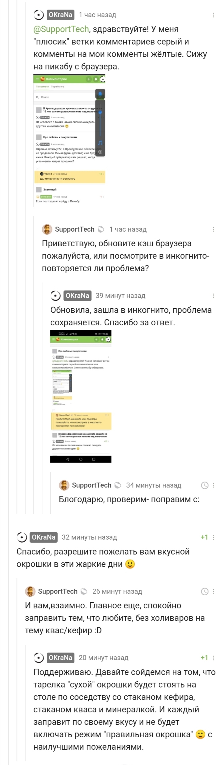 Окрошка... Чем заправлять? - Моё, Техподдержка Пикабу, Окрошка, Длиннопост, Комментарии на Пикабу, Скриншот