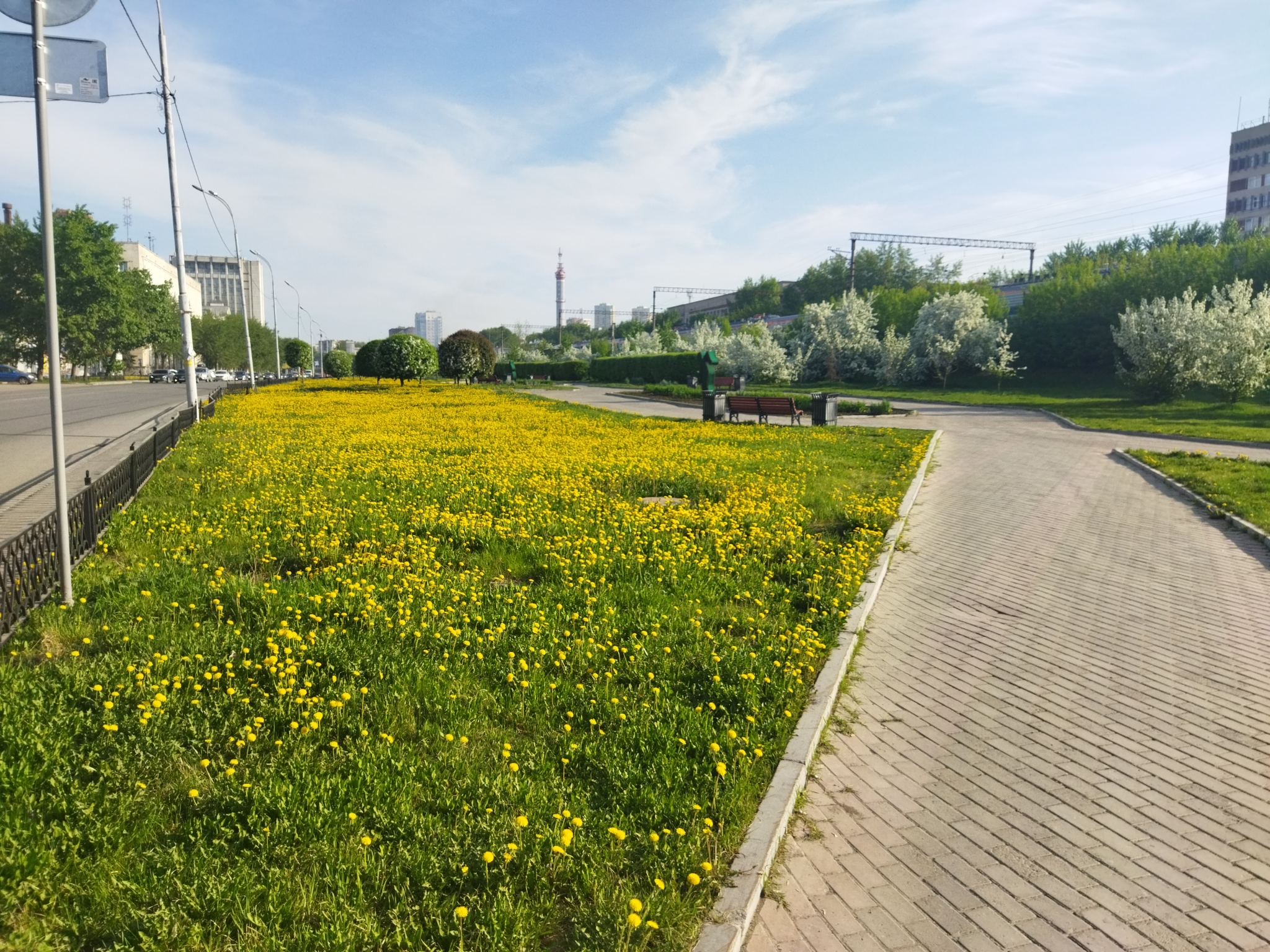 Весна в Екатеринбурге - Моё, Екатеринбург, Весна, Дерево, Цветение, Красота, Длиннопост, Мобильная фотография