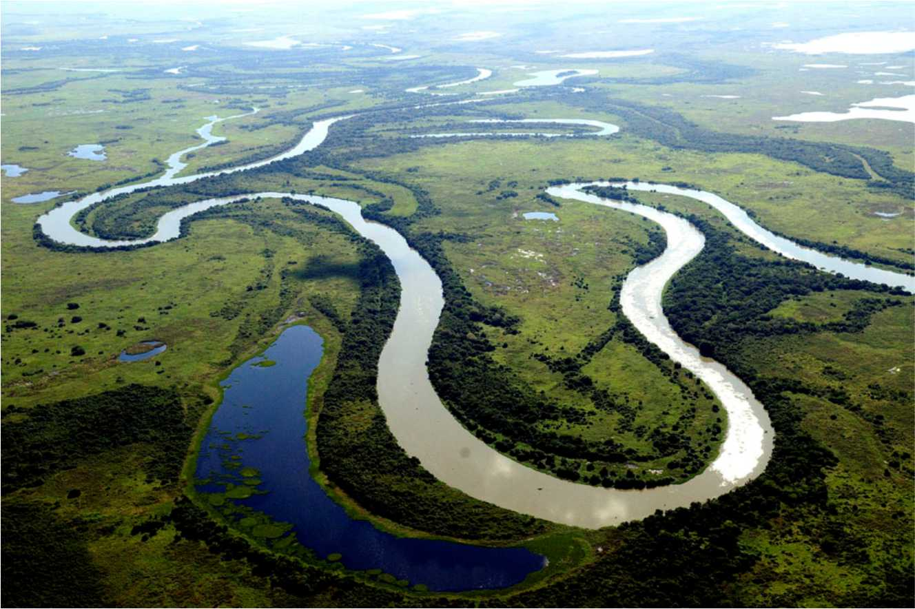 The Brazilian Pantanal has a jaguar for every square mile. - Jaguar, Big cats, Cat family, Predator, Wild animals, South America, Brazil, Swamp, , Paraguay, River, UNESCO Heritage Site, National park, Longpost