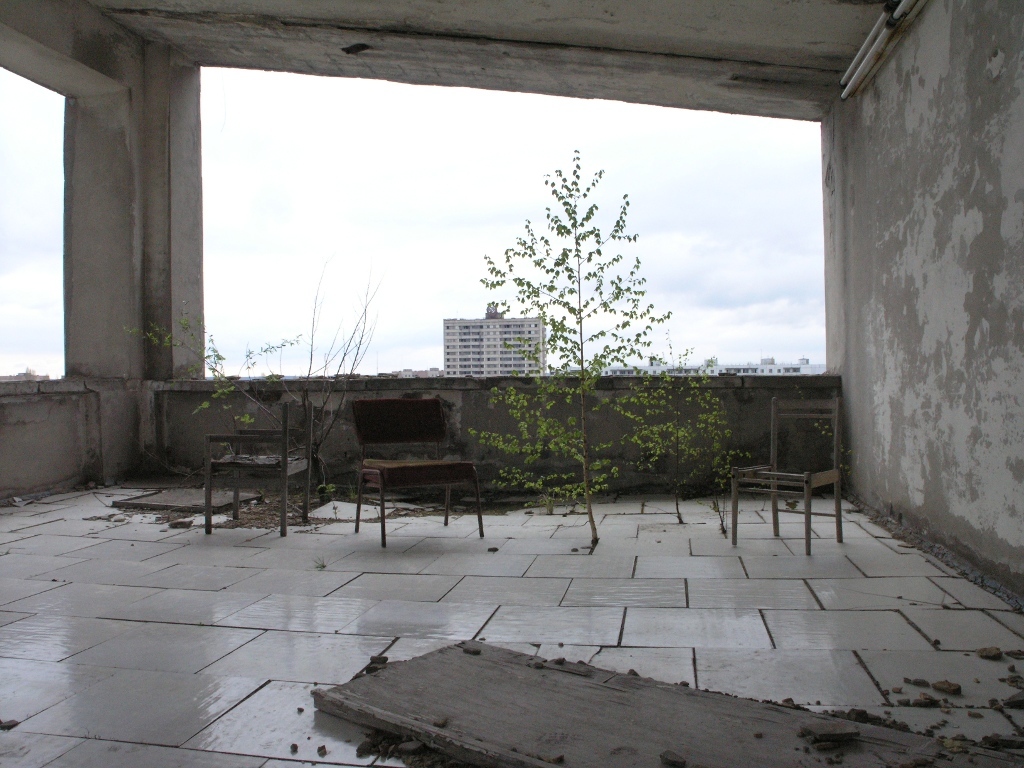 Answer to the post “Why do birch trees make such a noise in Russia?” - The photo, Abandoned, After U.S, Nature, From the network, Longpost, Reply to post, Zuo, Pripyat