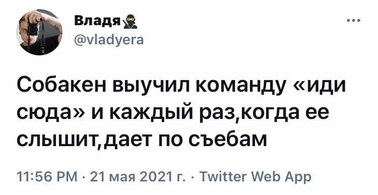 Сообразительный - Юмор, Скриншот, Twitter, Дрессировка собак, Мат