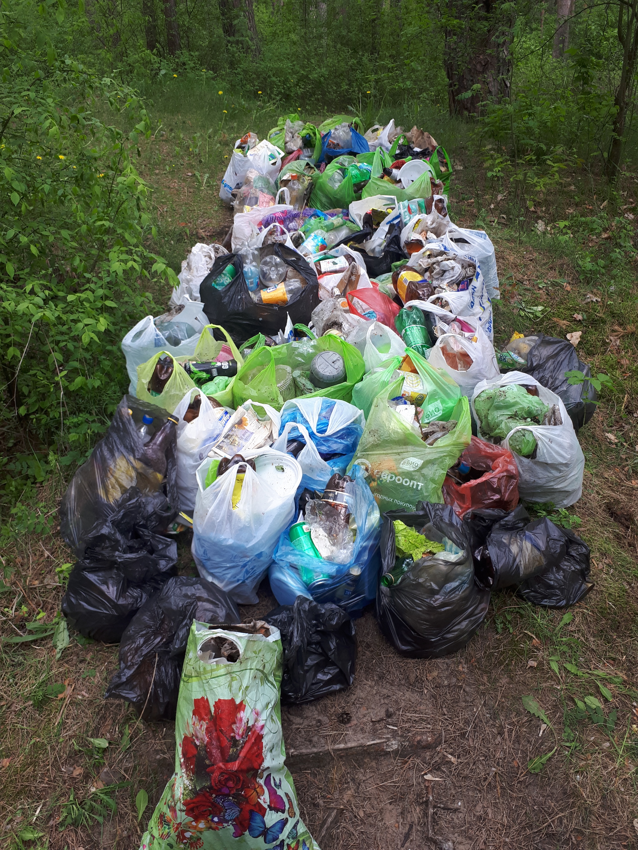 Clean forest park - My, Pure Man's League, Garbage, Forest, Longpost