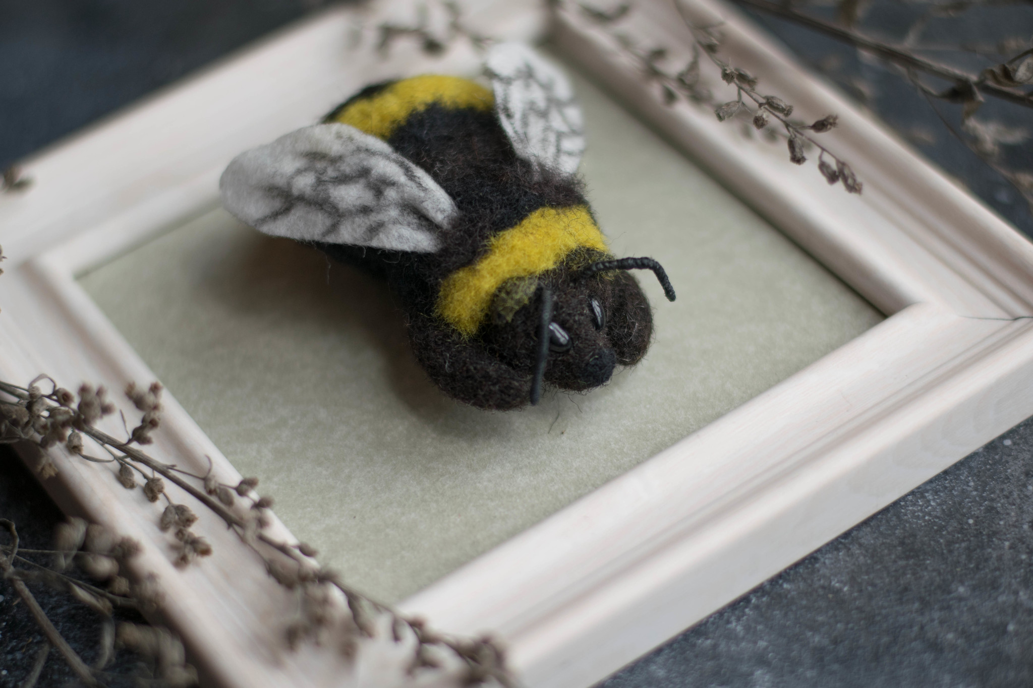 Like a moth, only a bear. - My, Dry felting, Needlework without process, Longpost, Collection, Entomology