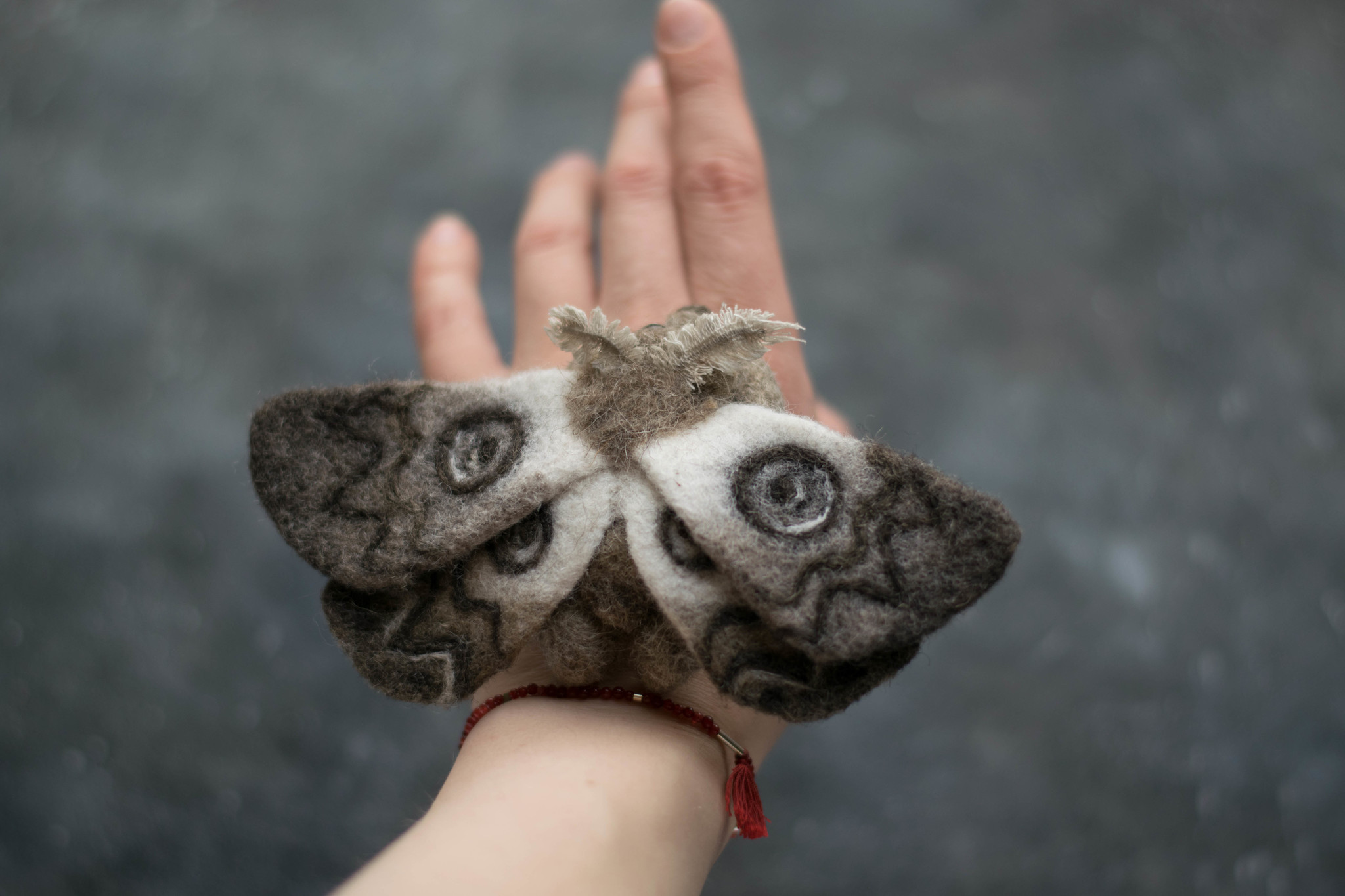 Like a moth, only a bear. - My, Dry felting, Needlework without process, Longpost, Collection, Entomology