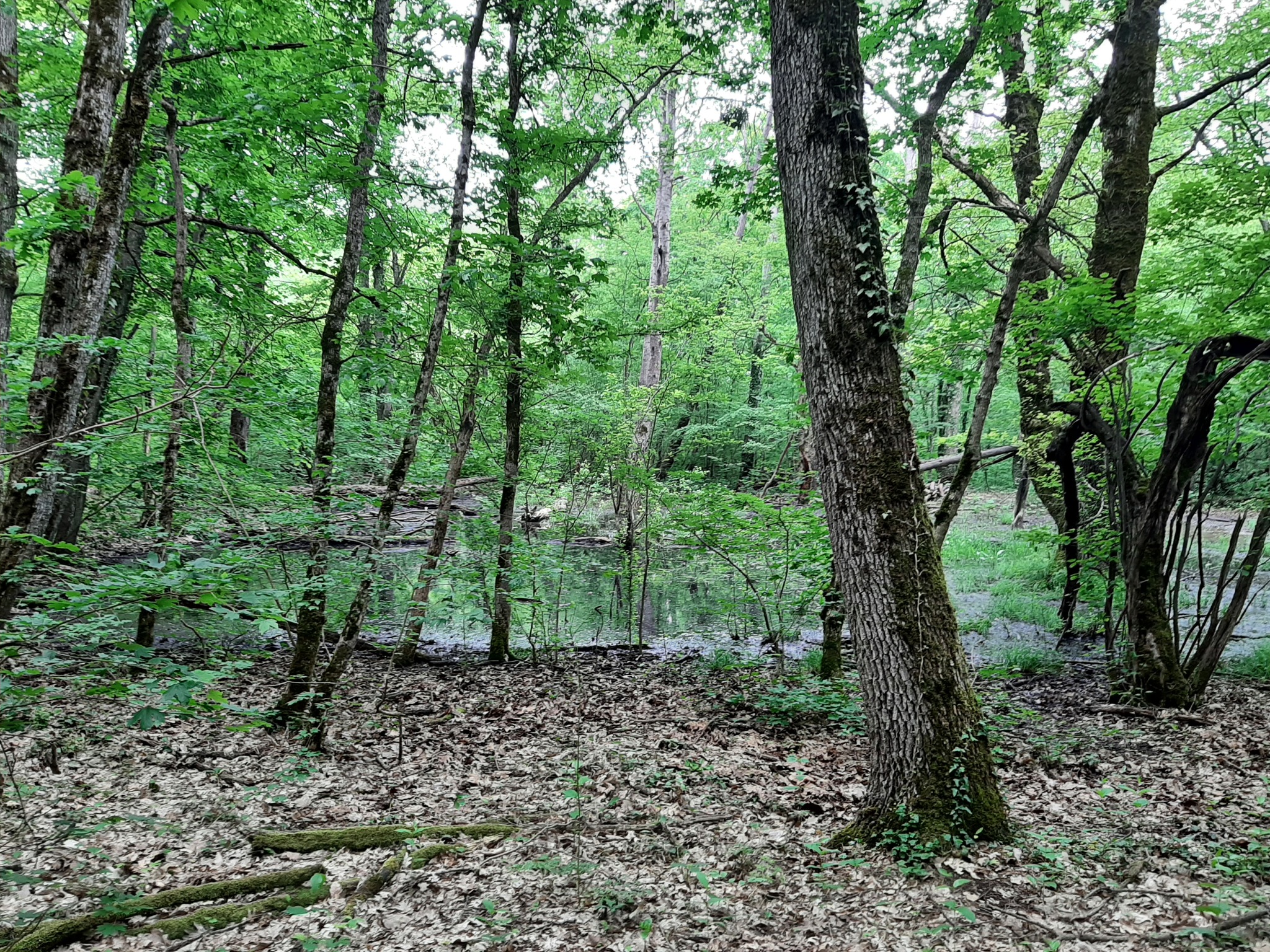 Hike - My, Hike, Overcoming Yourself, Novorossiysk, Nature, Landscape, Video, Longpost